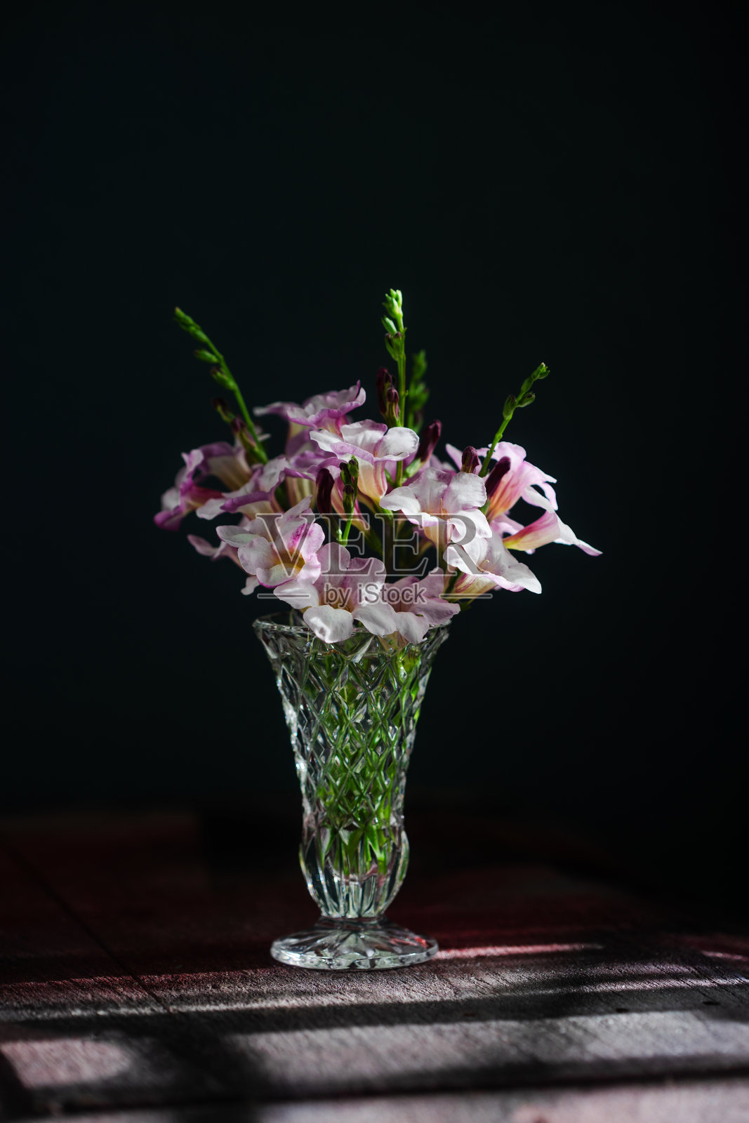 桌上的花瓶里插着紫色和白色的花照片摄影图片