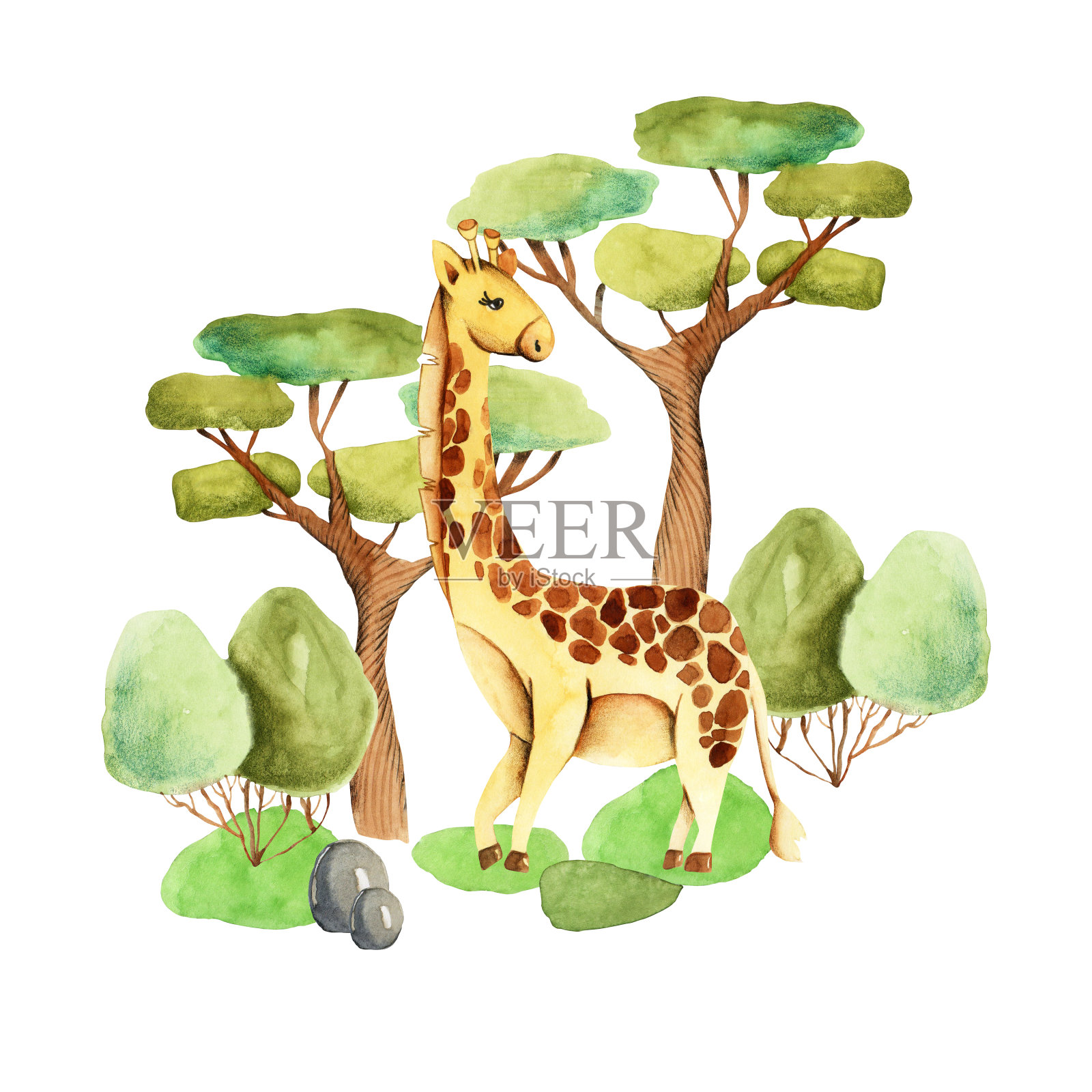 可爱的水彩长颈鹿在自然插图，手绘孤立在白色的背景插画图片素材