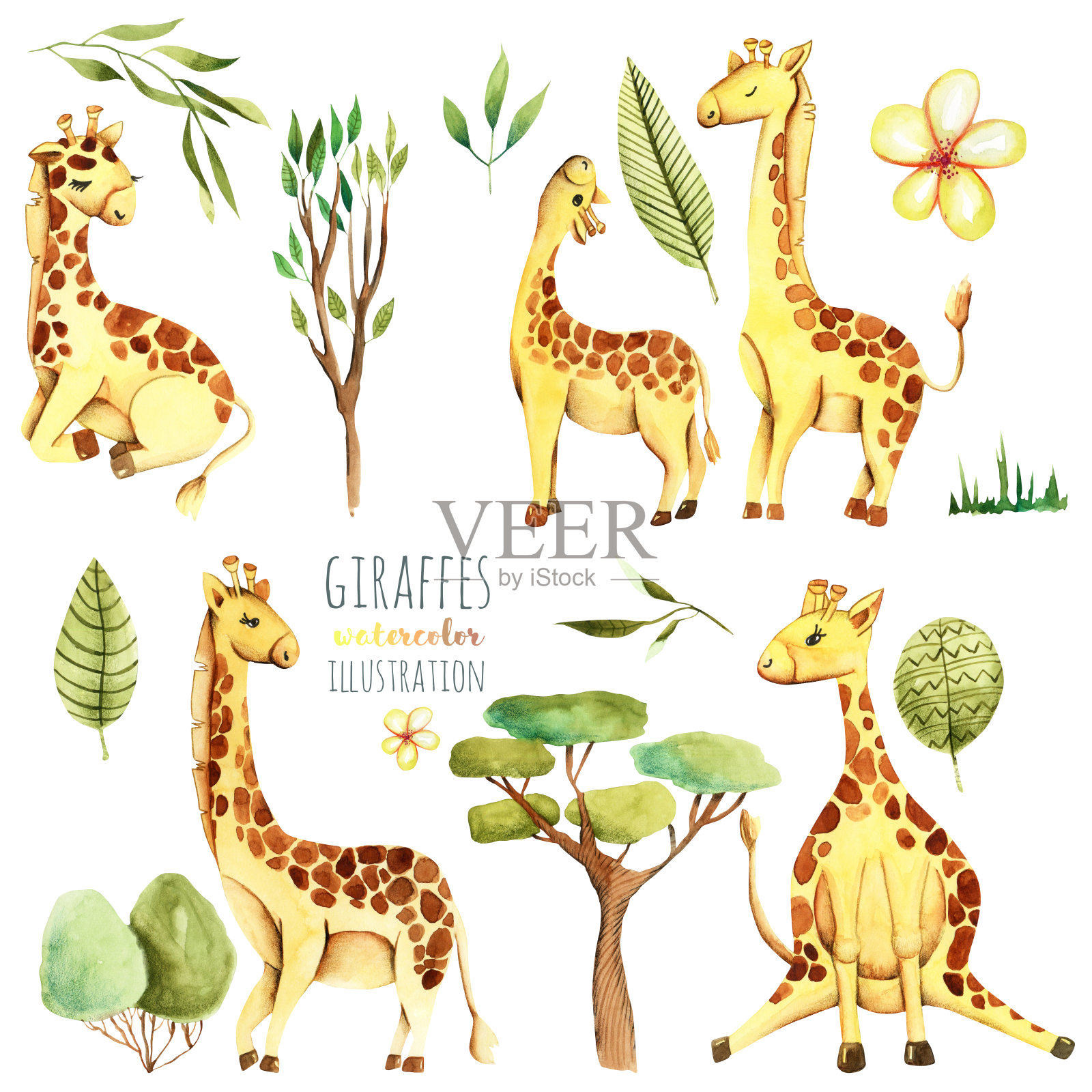收集，一套水彩可爱的长颈鹿和植物，手绘孤立在一个白色的背景插画图片素材
