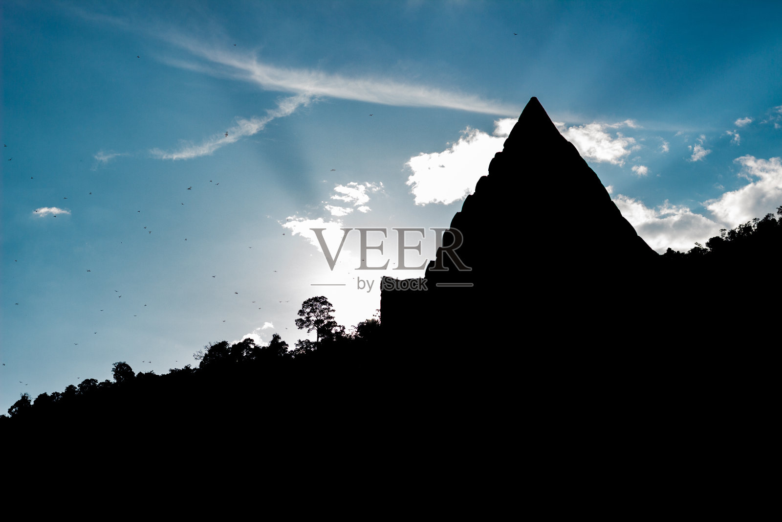 鸟在蓝天光和剪影石城堡Wat Phu Champasak老挝照片摄影图片