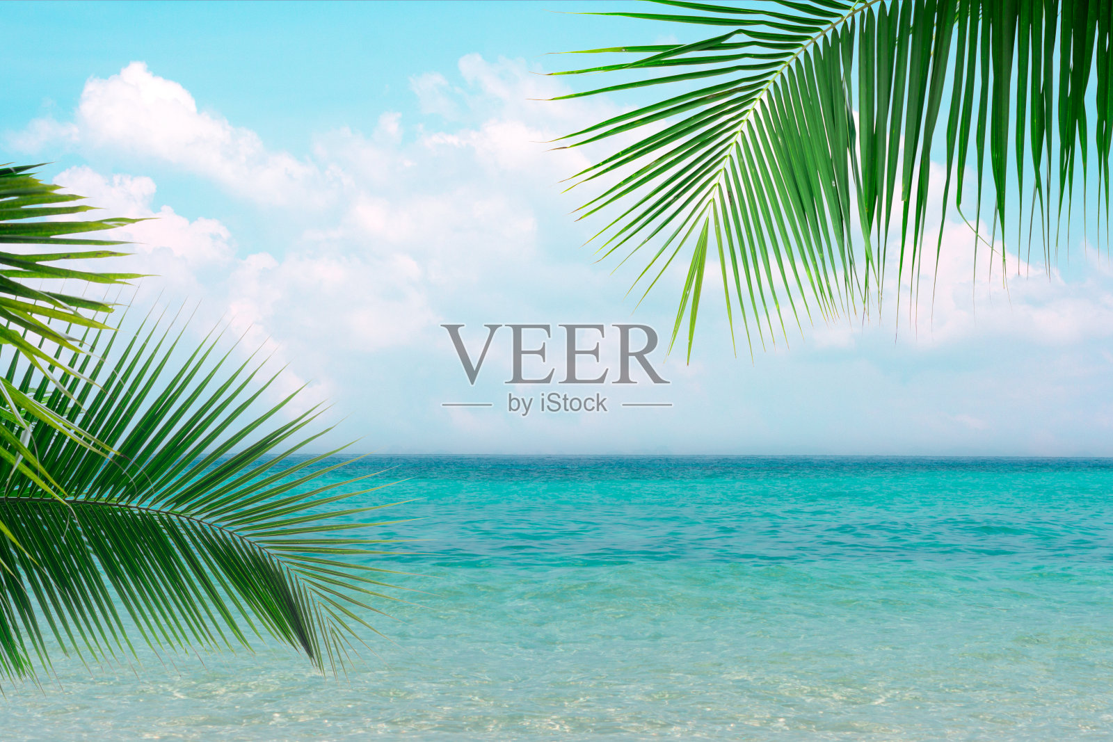 清澈的蓝色海洋与晴朗的天空夏季与云和绿色椰子树的叶子在前景背景。照片摄影图片