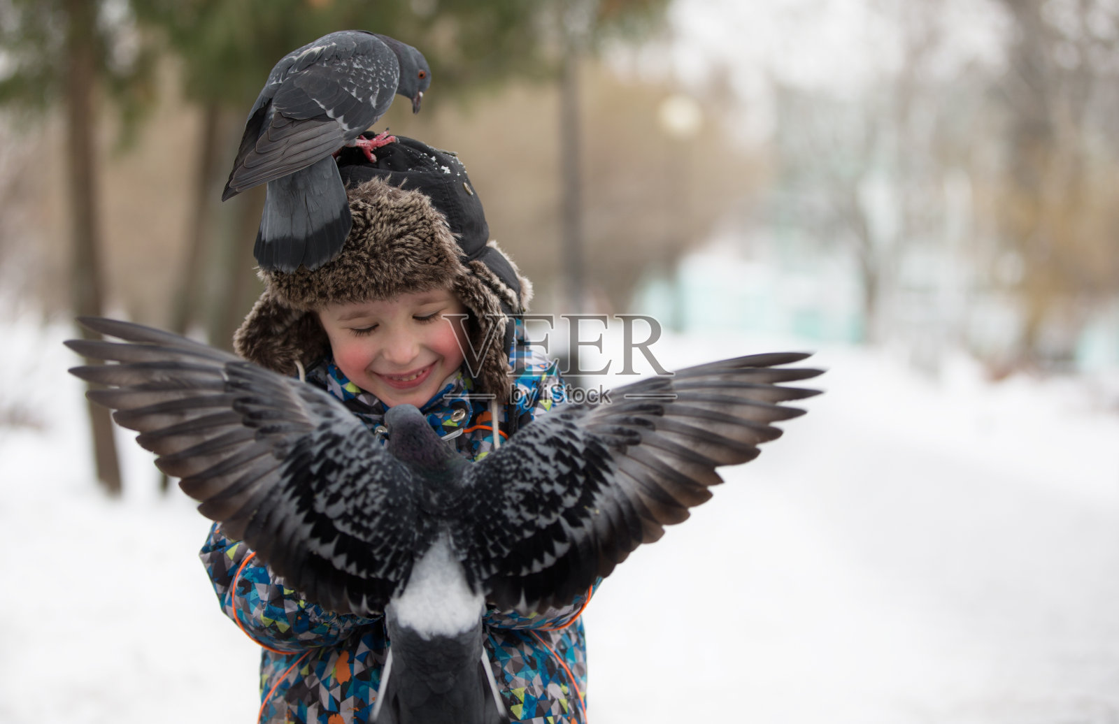 一个孩子在冬天用手喂鸽子。喂鸽子。照片摄影图片