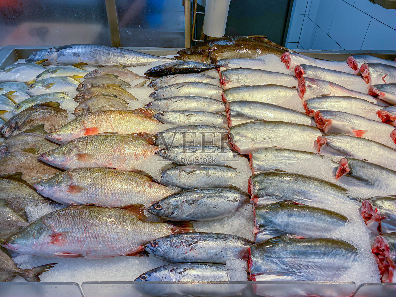 海鲜市场的新鲜冷冻鱼照片摄影图片