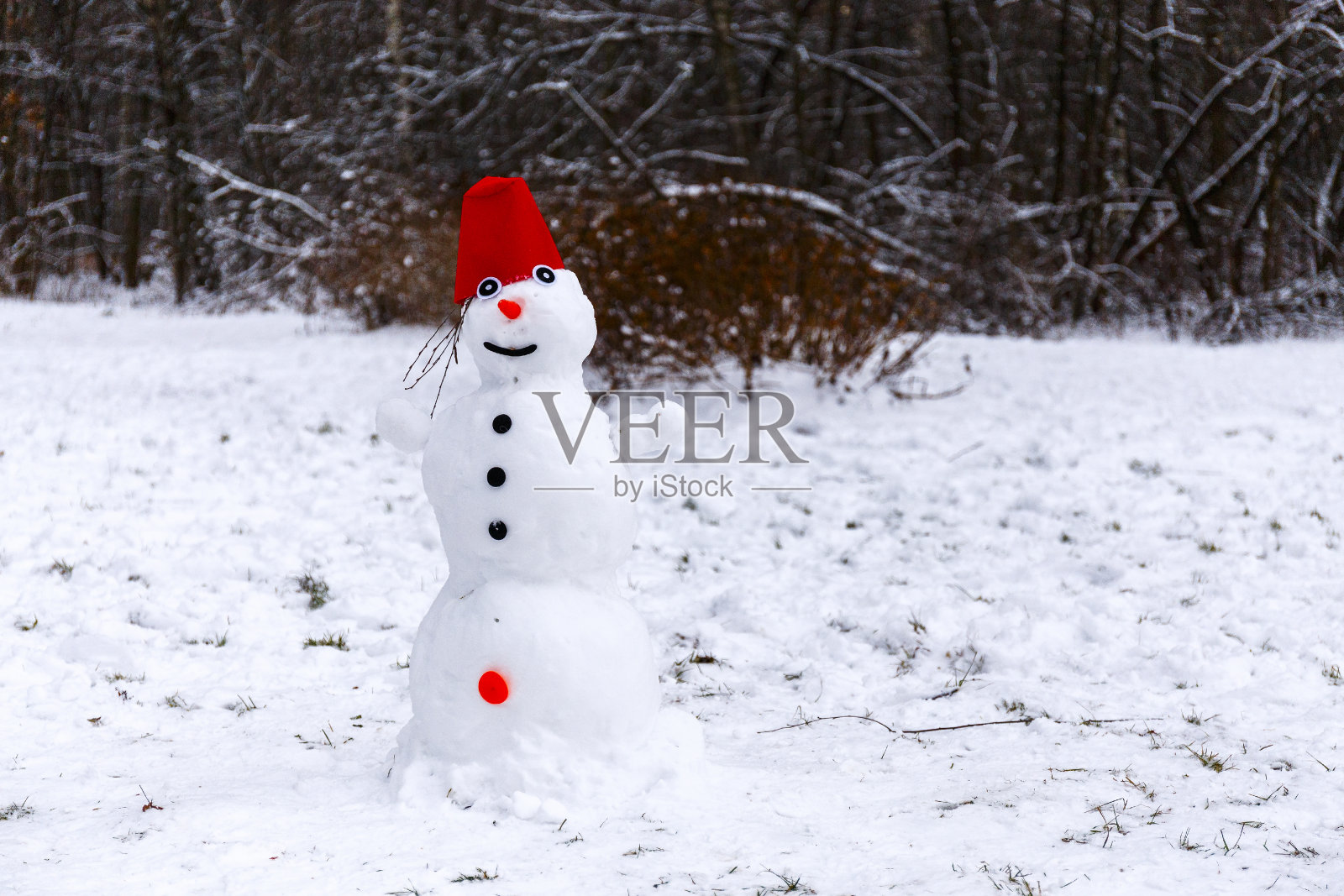美丽的雪人站在森林的边缘。照片摄影图片