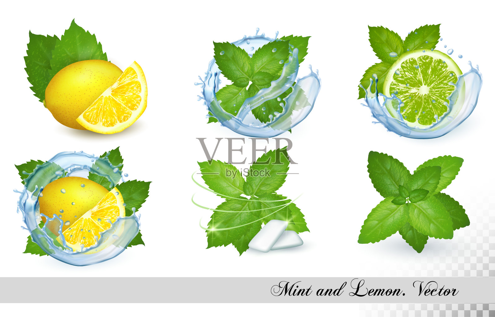 收集新鲜的薄荷和梅莉莎叶，柠檬和酸橙水。向量组设计元素图片