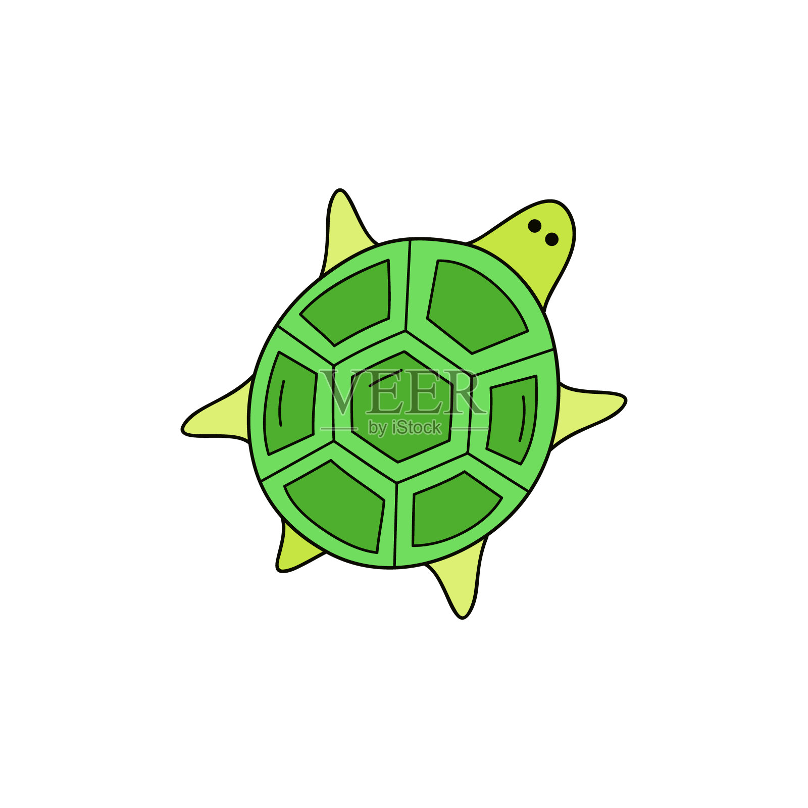 乌龟向量设计元素图片