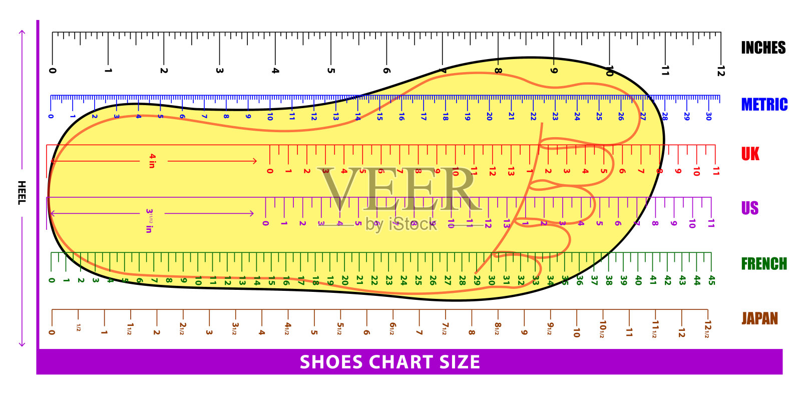 套鞋表尺码或袜子表尺码或尺码脚表概念。每股收益10向量,插画图片素材