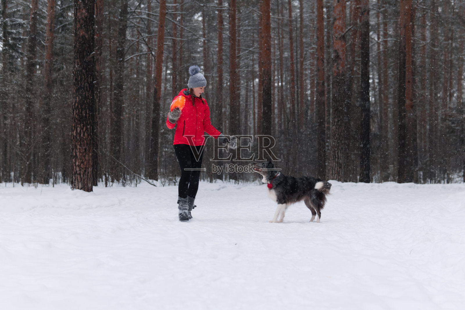 一个女人在冬天下雪的森林里和一只狗玩耍照片摄影图片