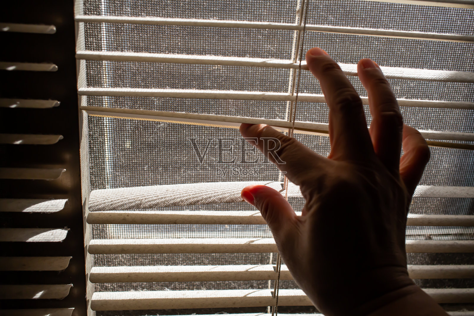 女人的右手打开窗户内的灰尘百叶窗，模糊的灰尘和肮脏的蚊子丝纱窗，光影拍摄，特写，选择性聚焦照片摄影图片