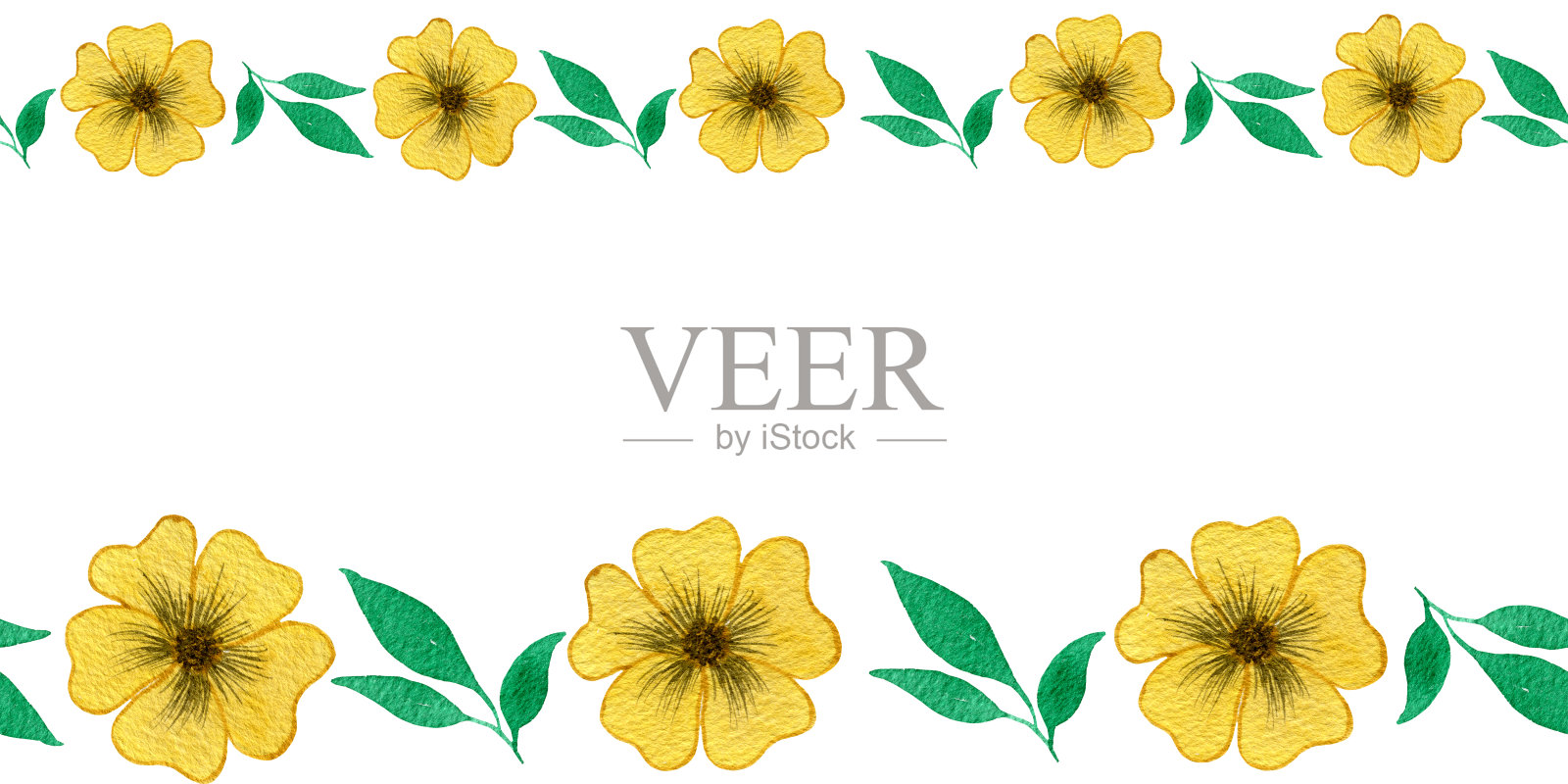 春季黄花无缝边框，一套黄花孤立在白色背景，水彩花卉框架与文本复制空间插画图片素材