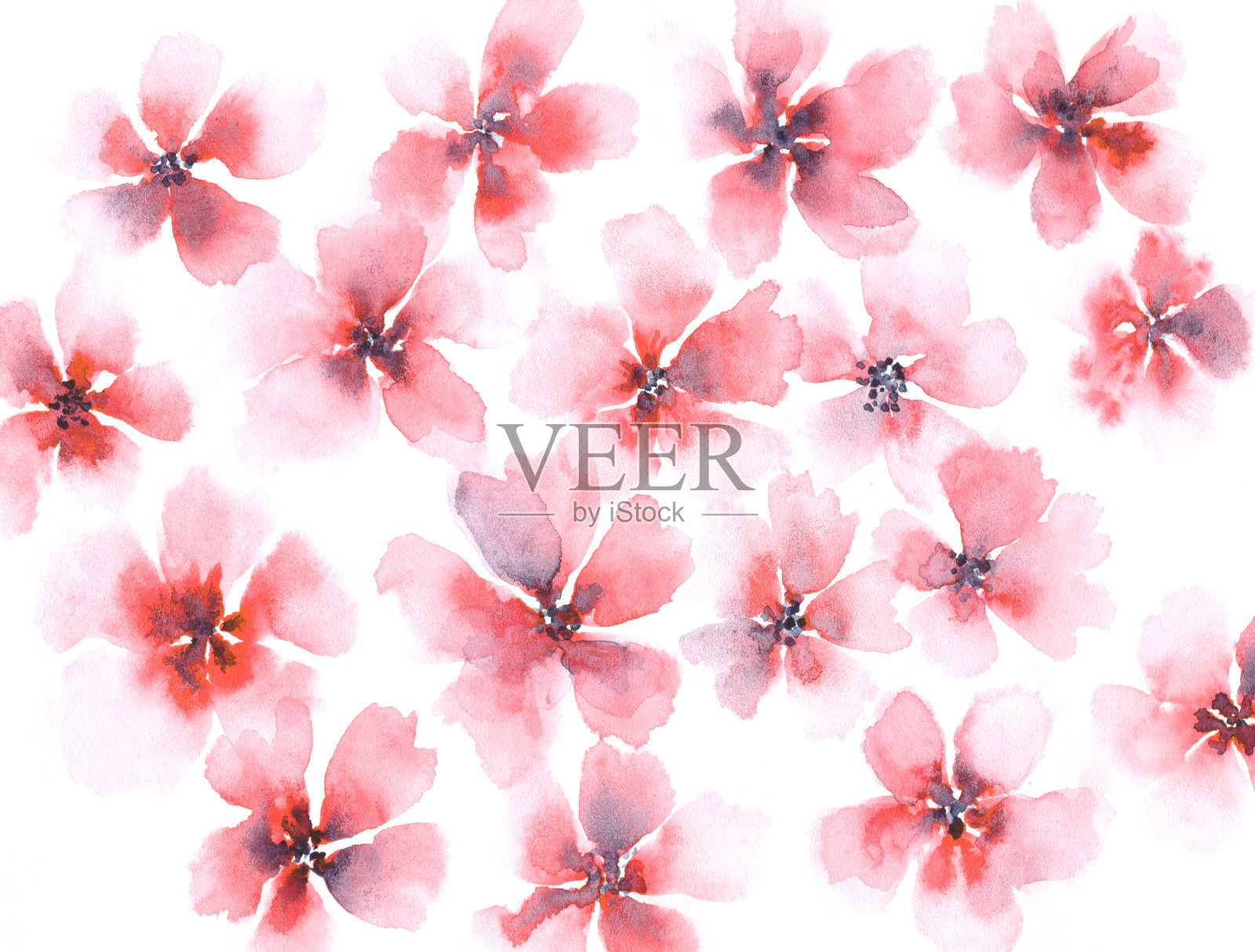 精致的水彩红色和粉红色的花卉背景插画图片素材