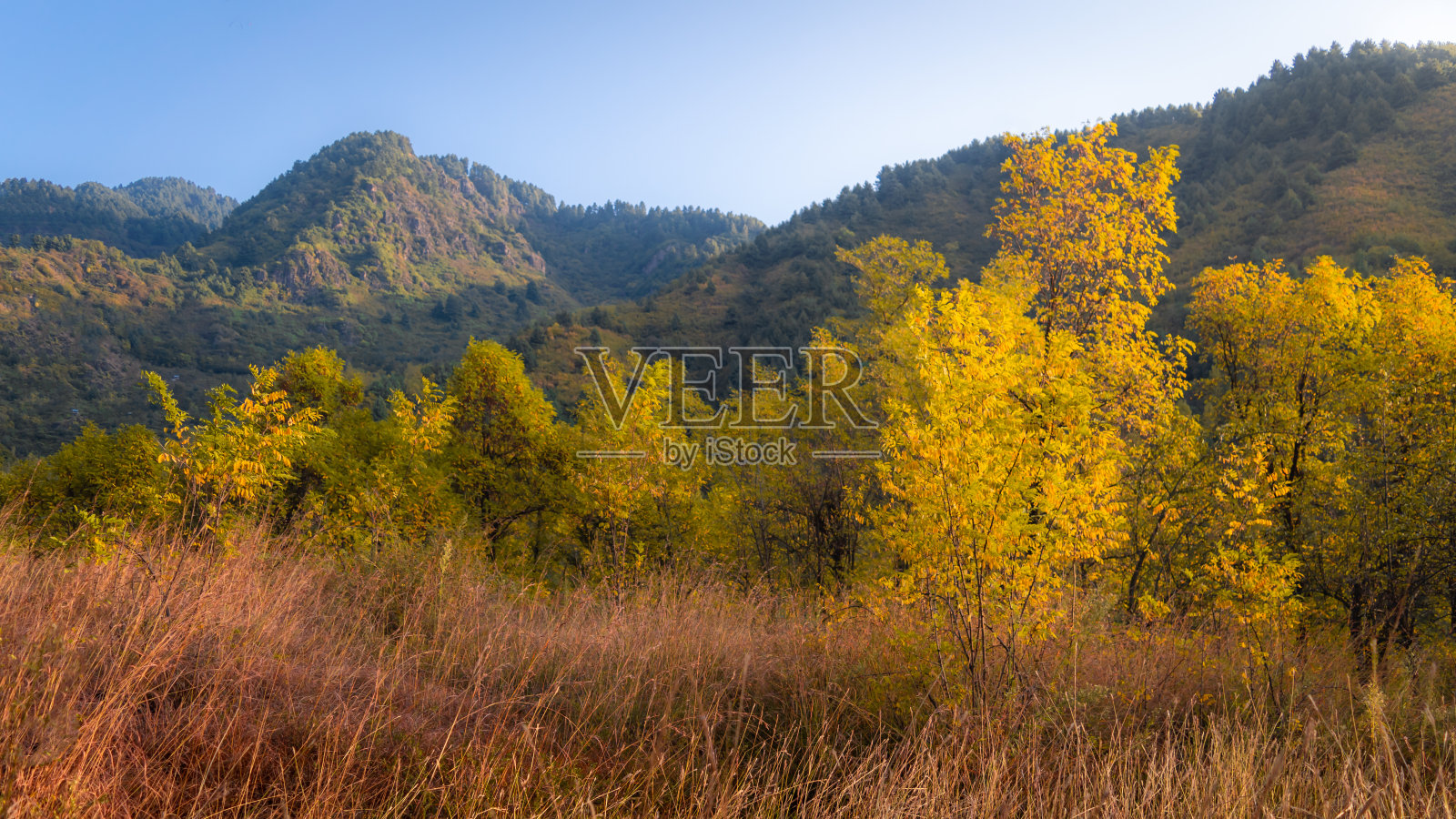 喀什米尔斯利那加的扎巴万山脉，层层叠叠的秋色照片摄影图片