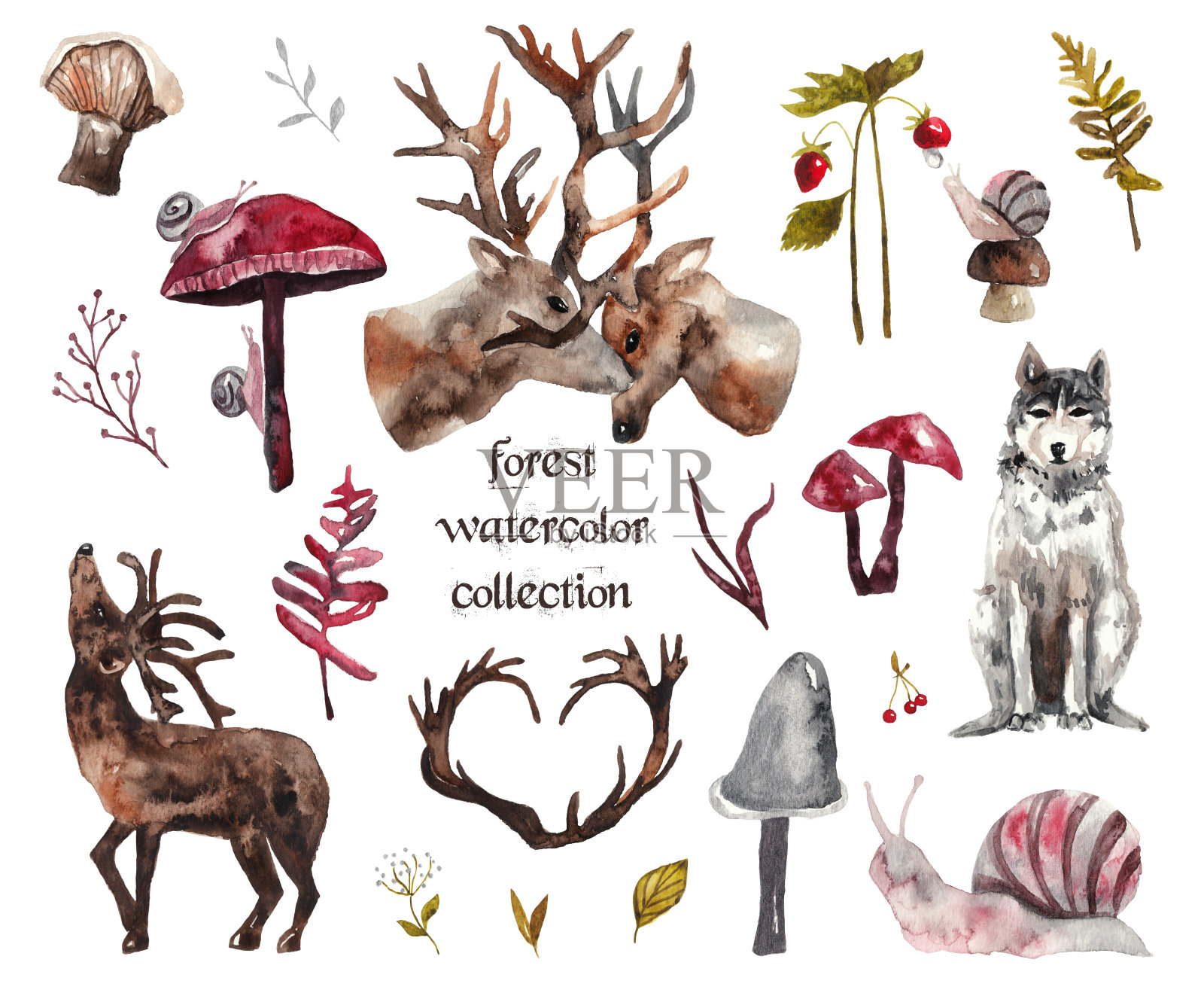 水彩森林集合。植物，花和蘑菇，鹿，狼，蜗牛。水彩插图插画图片素材