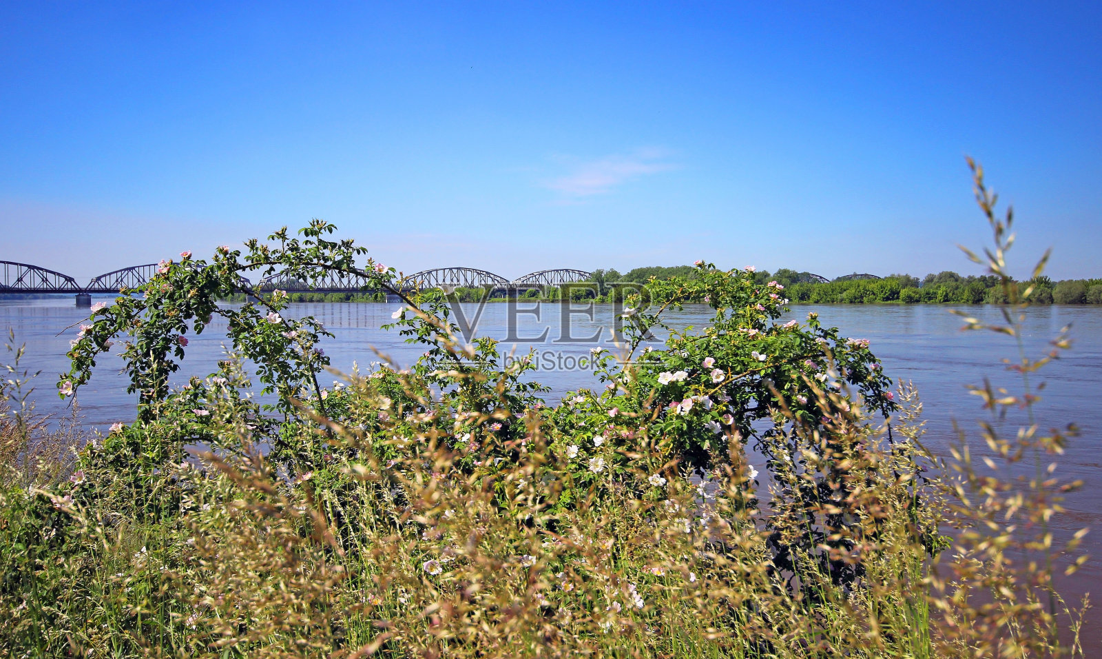 在Grudziadz维斯瓦河的观点。波兰照片摄影图片