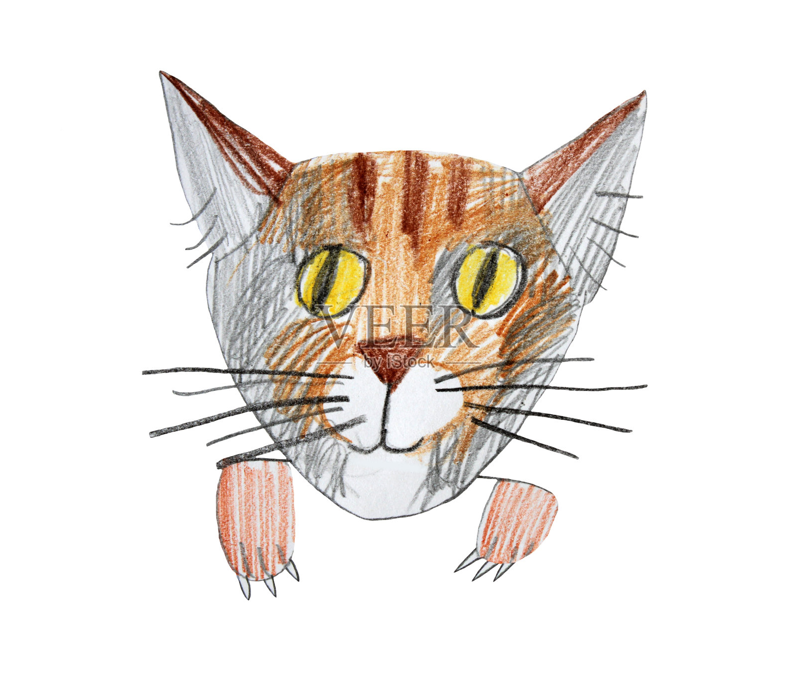 手绘彩色铅笔画猫孤立在白色背景上的天真艺术插画图片素材