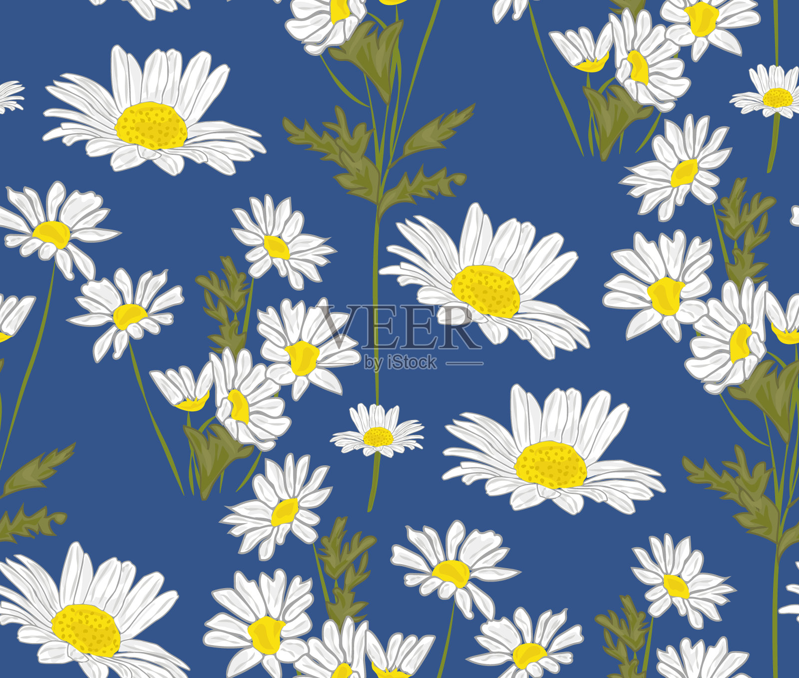 雏菊花在蓝色无缝图案。插画图片素材