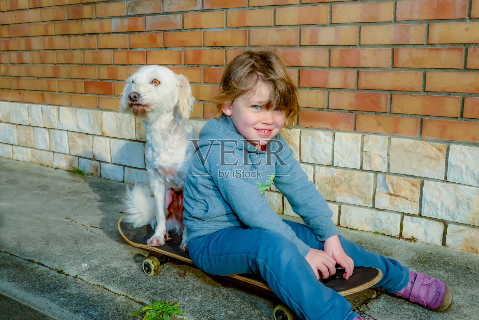 漂亮的小女孩在玩滑板和狗照片摄影图片
