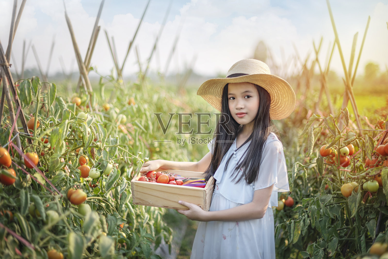 亚洲可爱的小女孩和红色的西红柿照片摄影图片