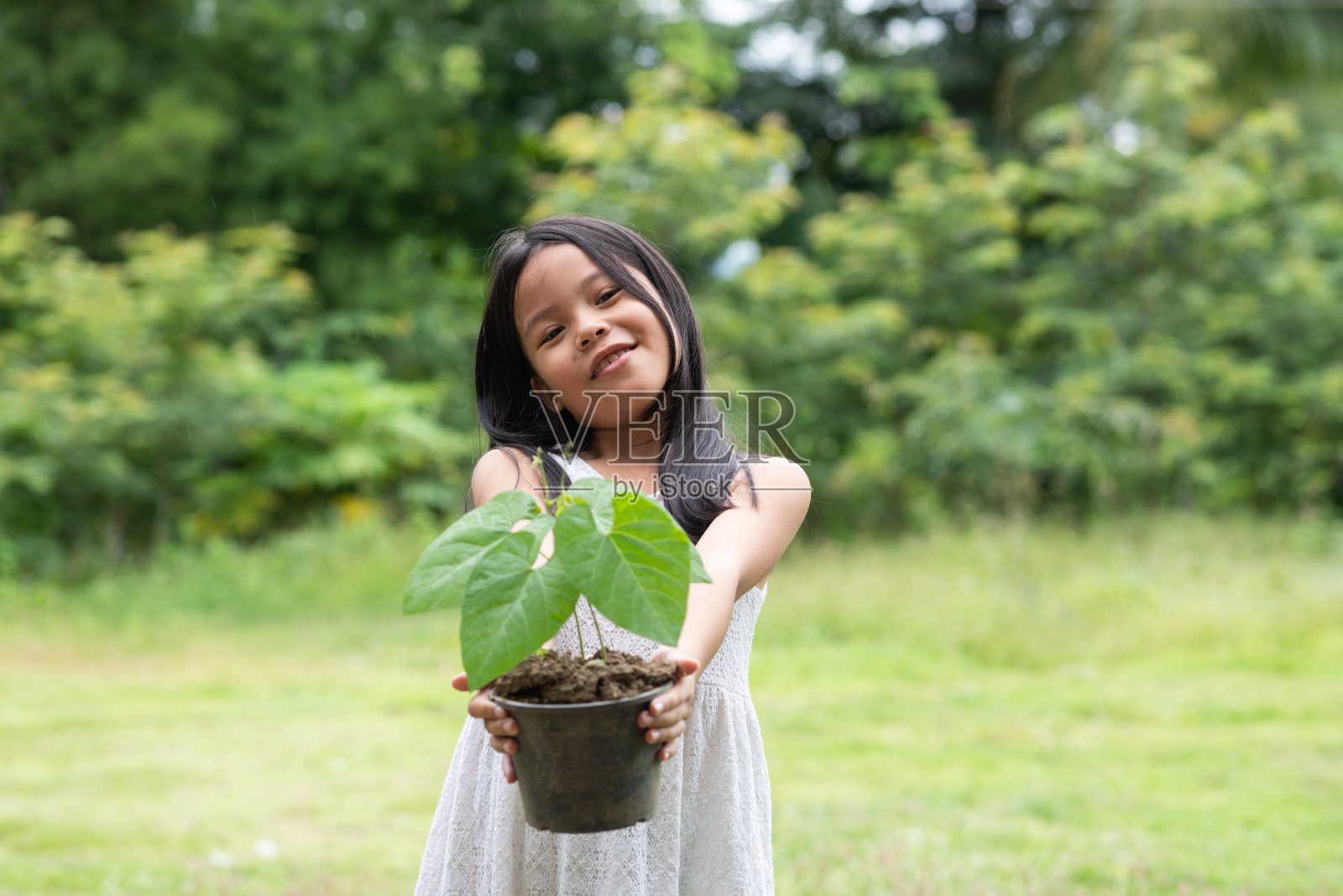 亚洲小女孩抱着一株植物在户外公园照片摄影图片