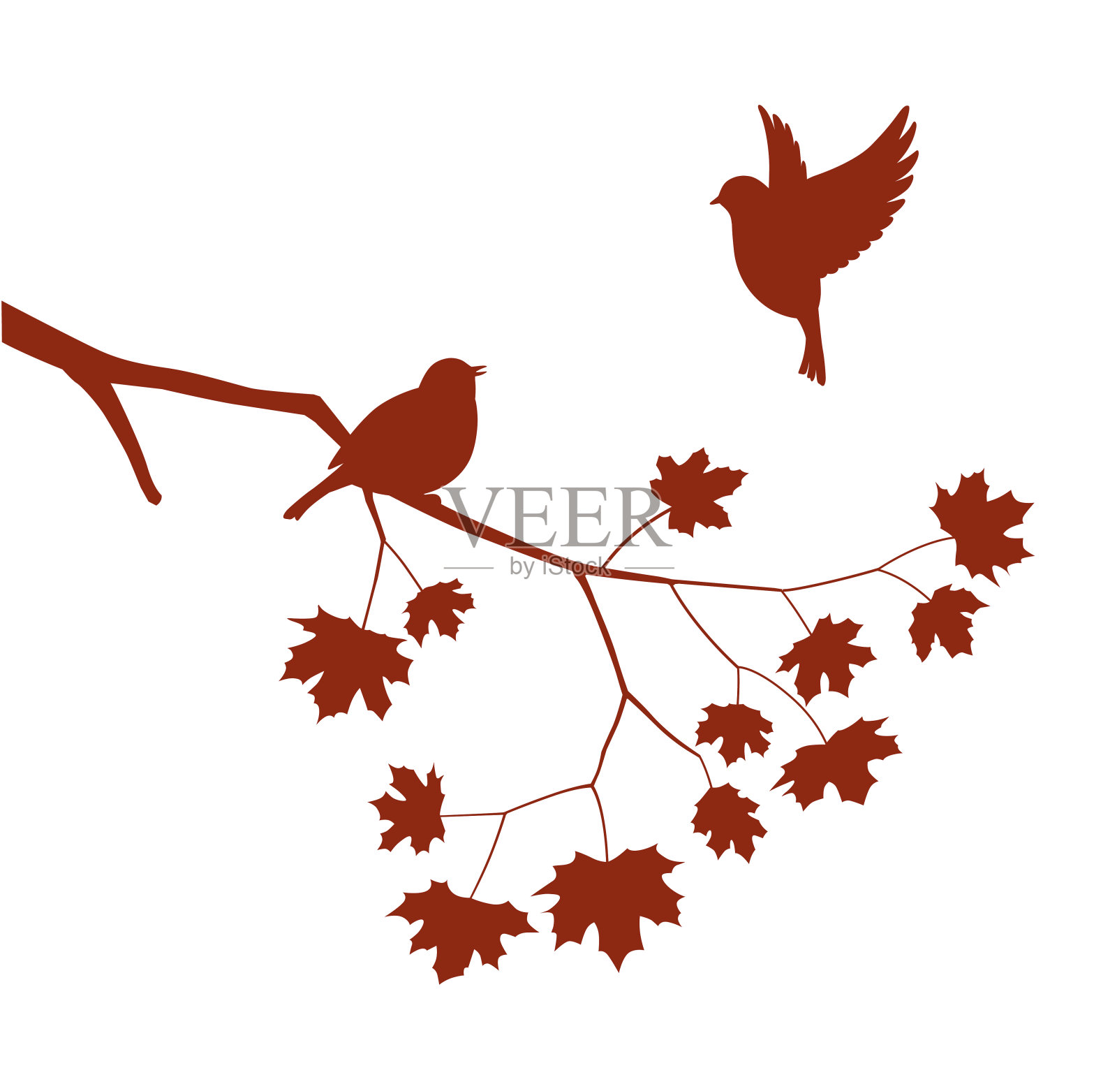鸟儿栖息在枫树枝上设计元素图片
