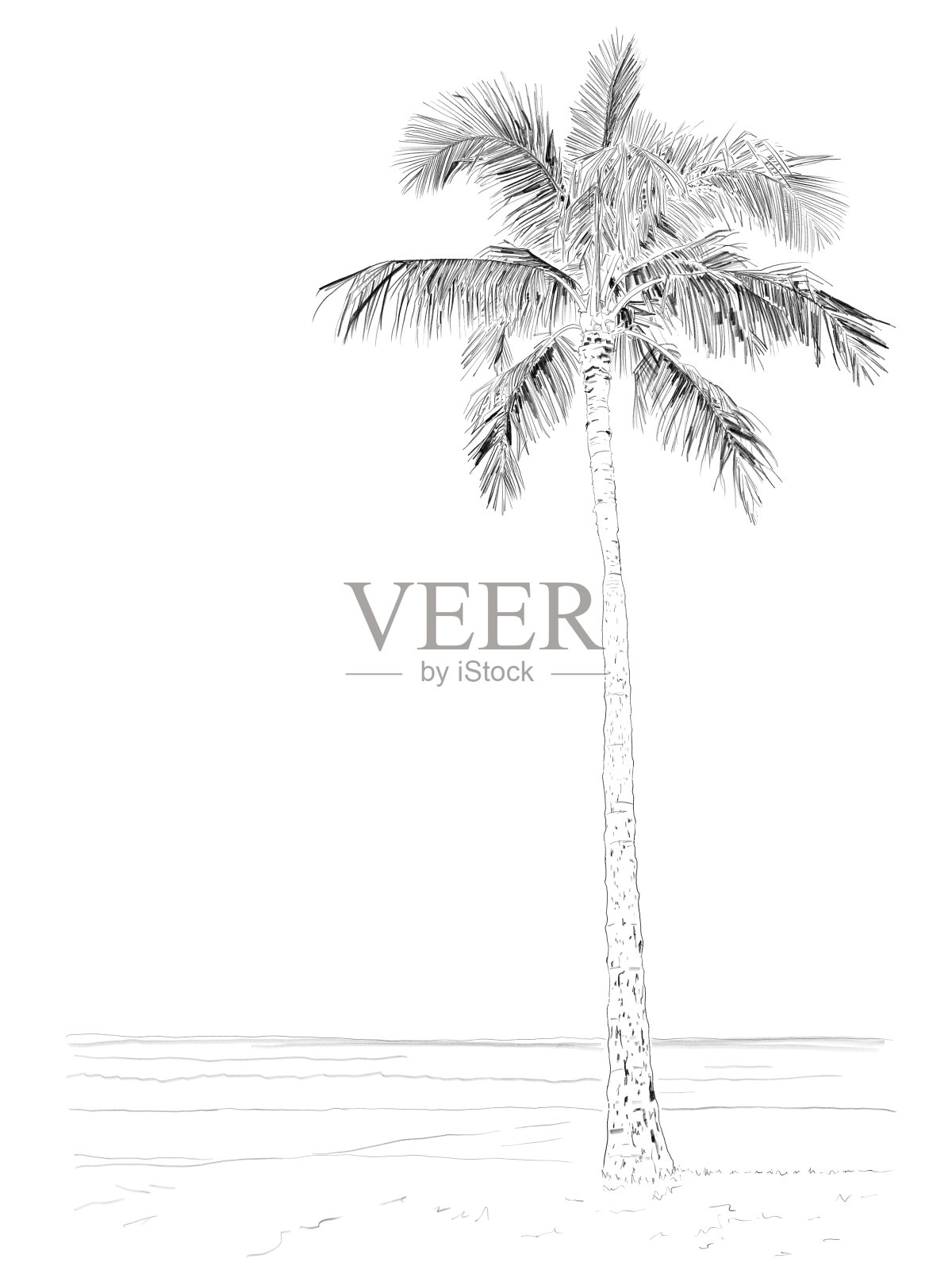 棕榈树画插画图片素材