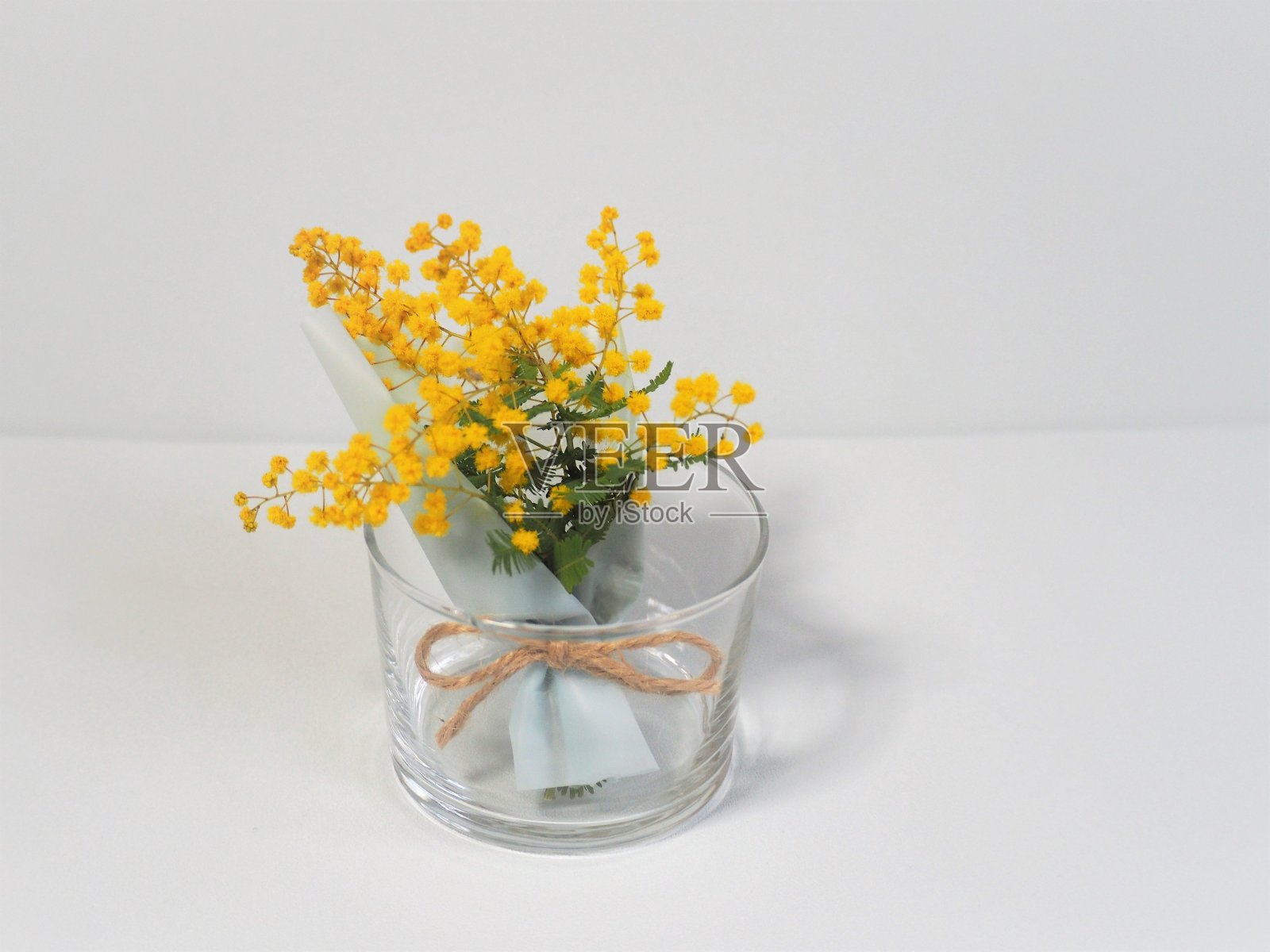 小的含羞草花束在玻璃背景的白色照片摄影图片