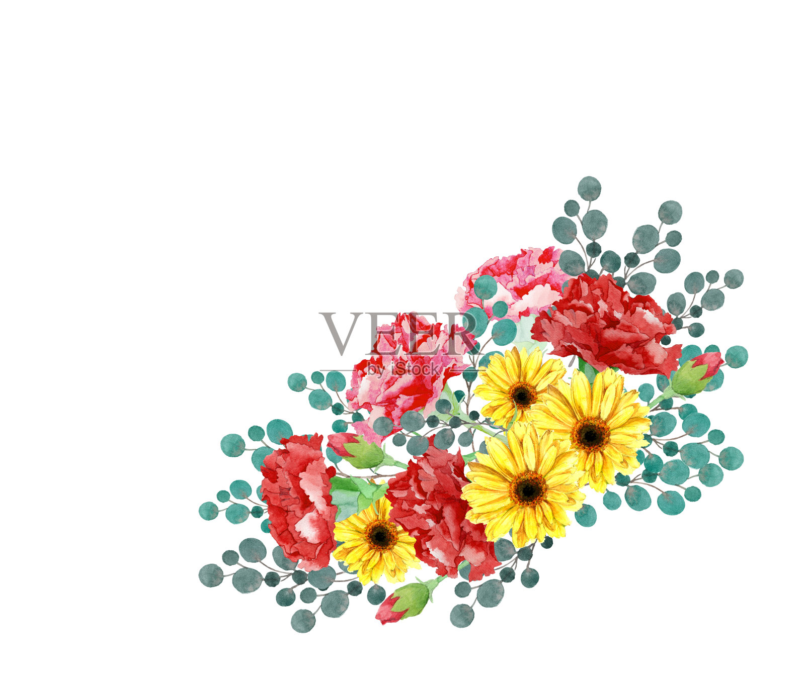 康乃馨和雏菊插画图片素材