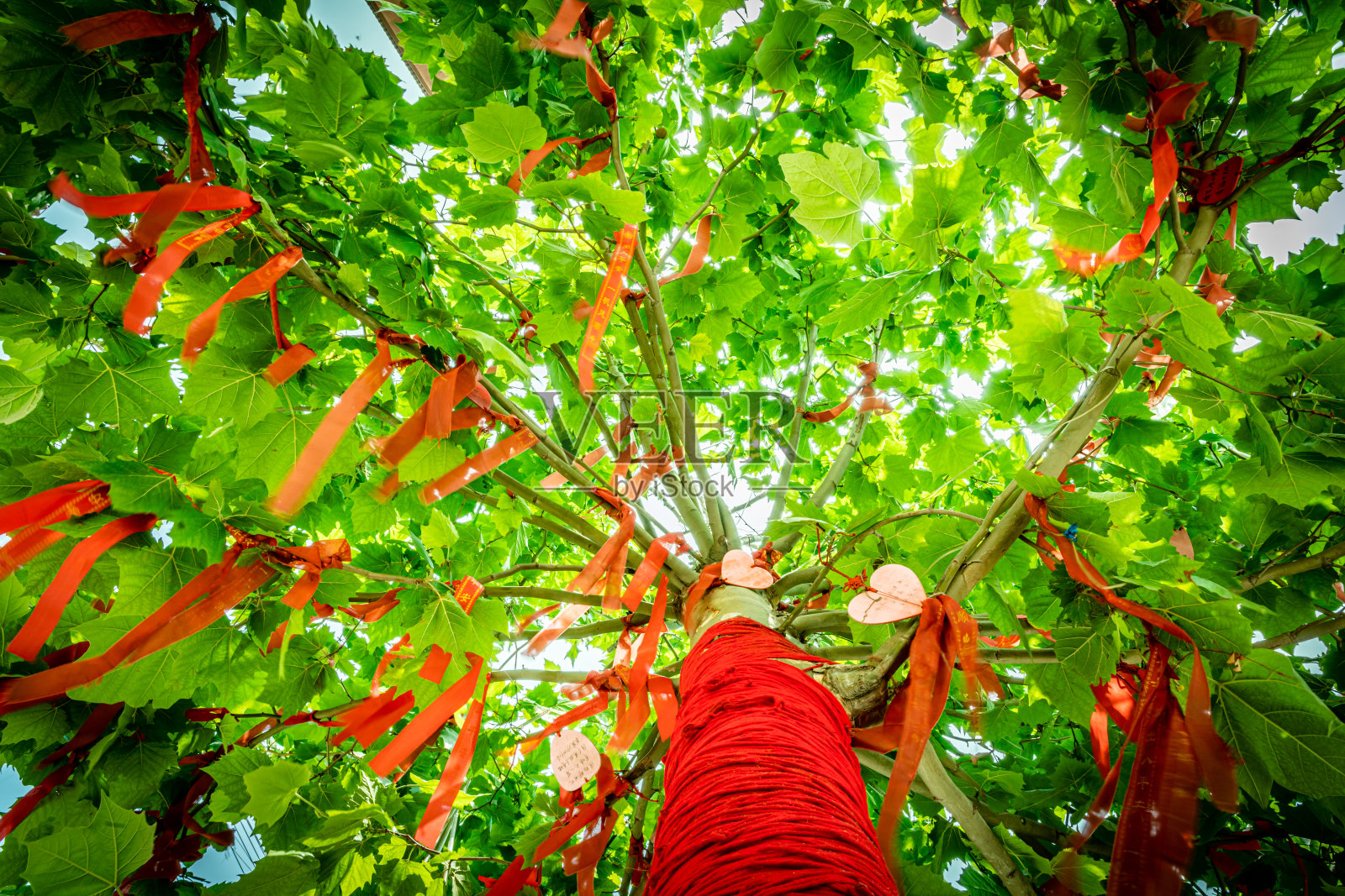 中国祈祷树。树枝上挂着天空的丝带照片摄影图片
