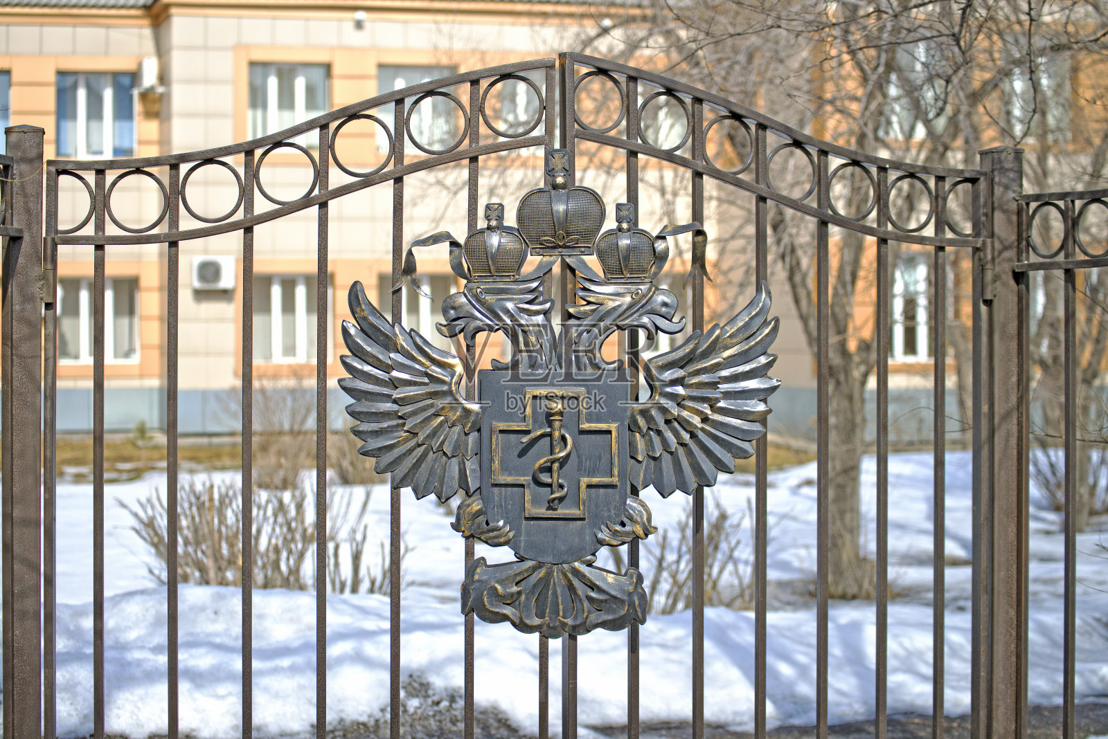 俄罗斯的盾徽是用金属锻造的，挂在一个国家组织的大门上照片摄影图片