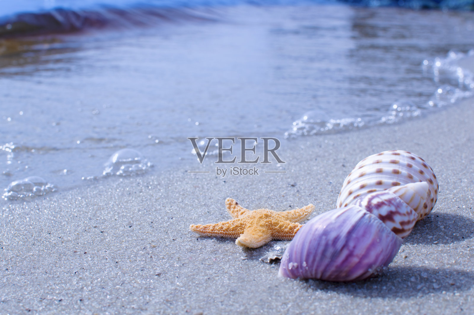 阳光明媚的夏日，海滩上的海星和贝壳照片摄影图片