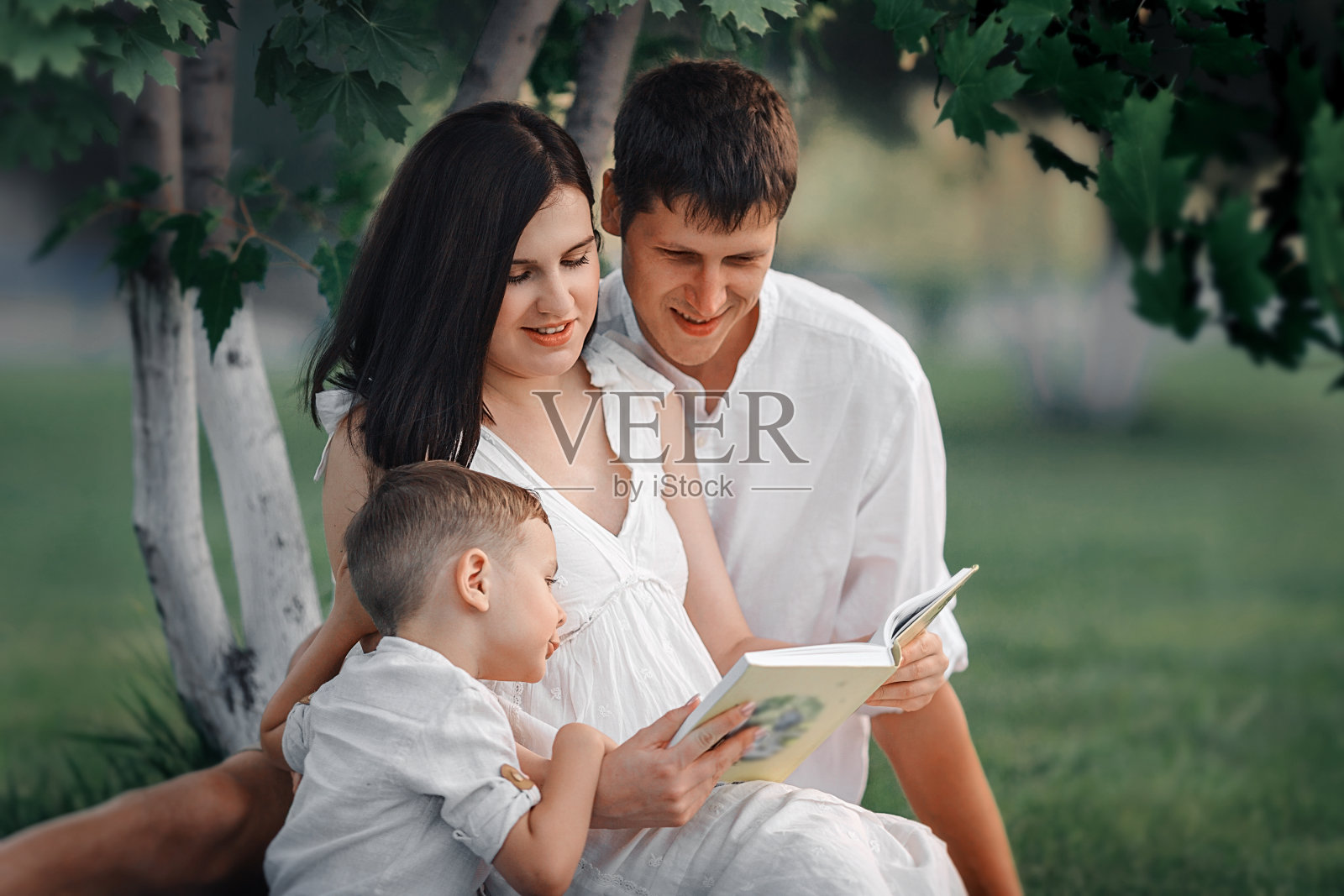 幸福的家庭在大自然中。妈妈，爸爸和孩子在树下看书。照片摄影图片