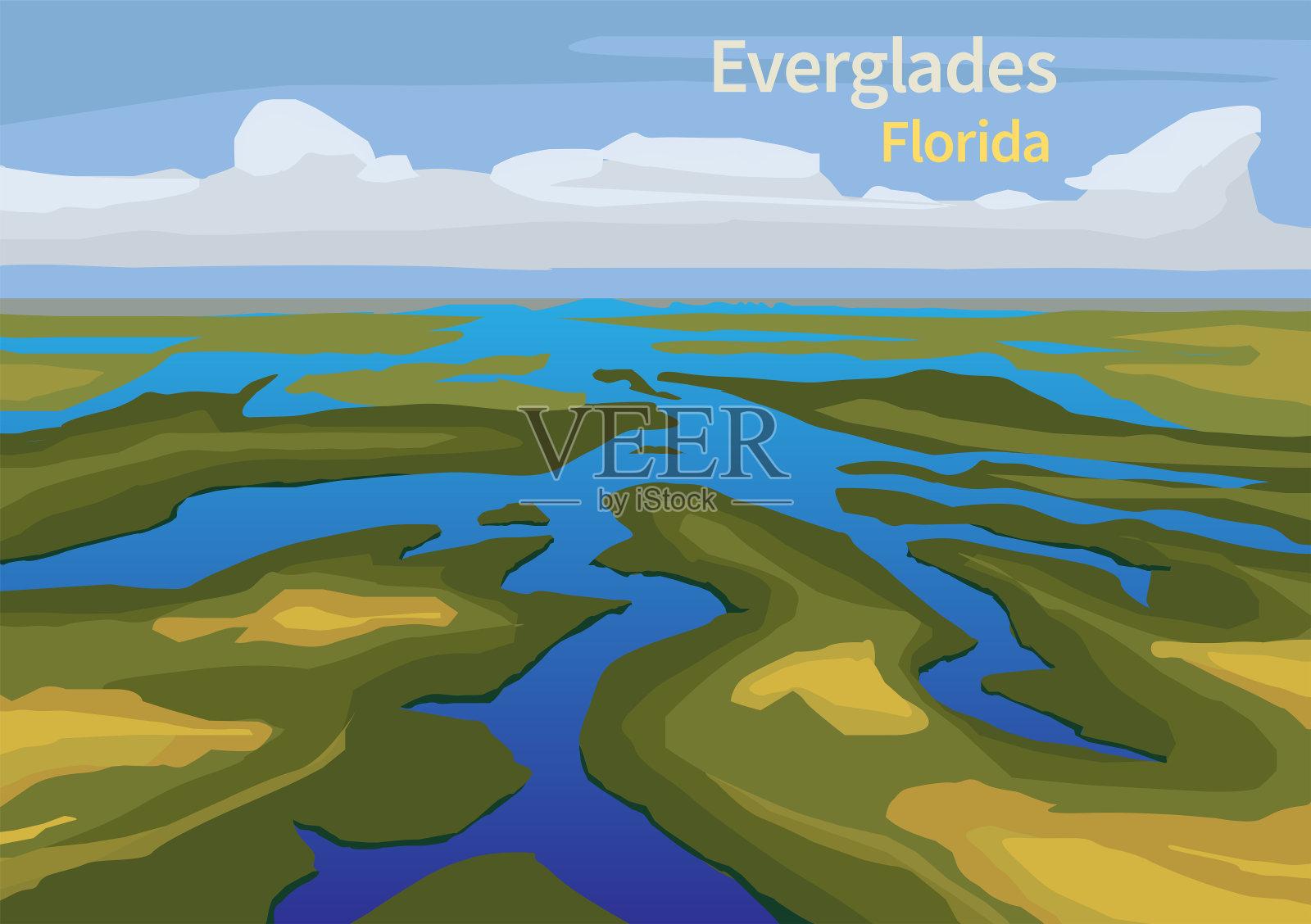 佛罗里达大沼泽地的景观看到了草插画图片素材