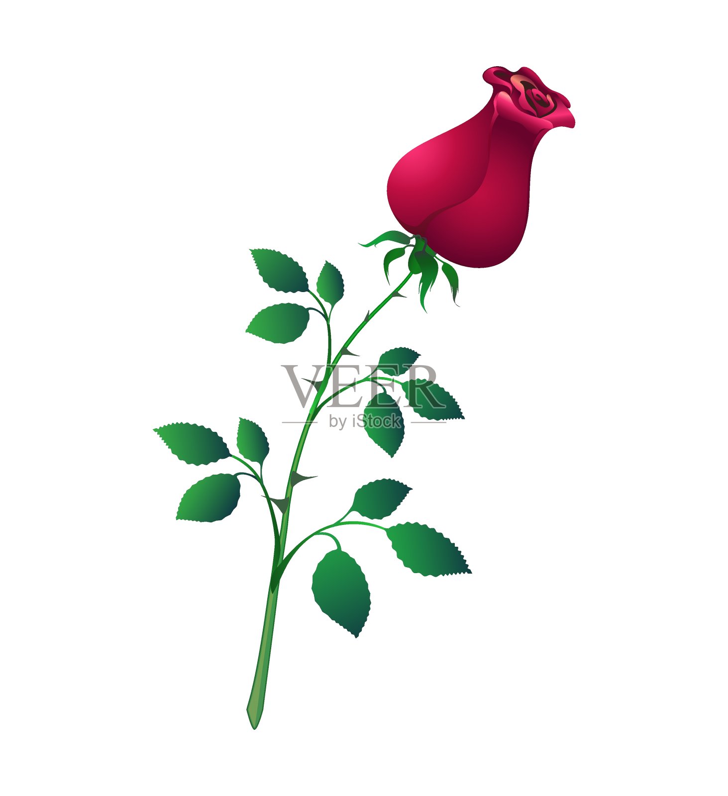 红玫瑰花蕾设计元素图片