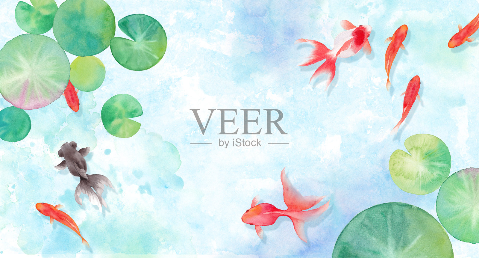 夏季图像背景由金鱼和睡莲的叶子组成，水彩插图插画图片素材