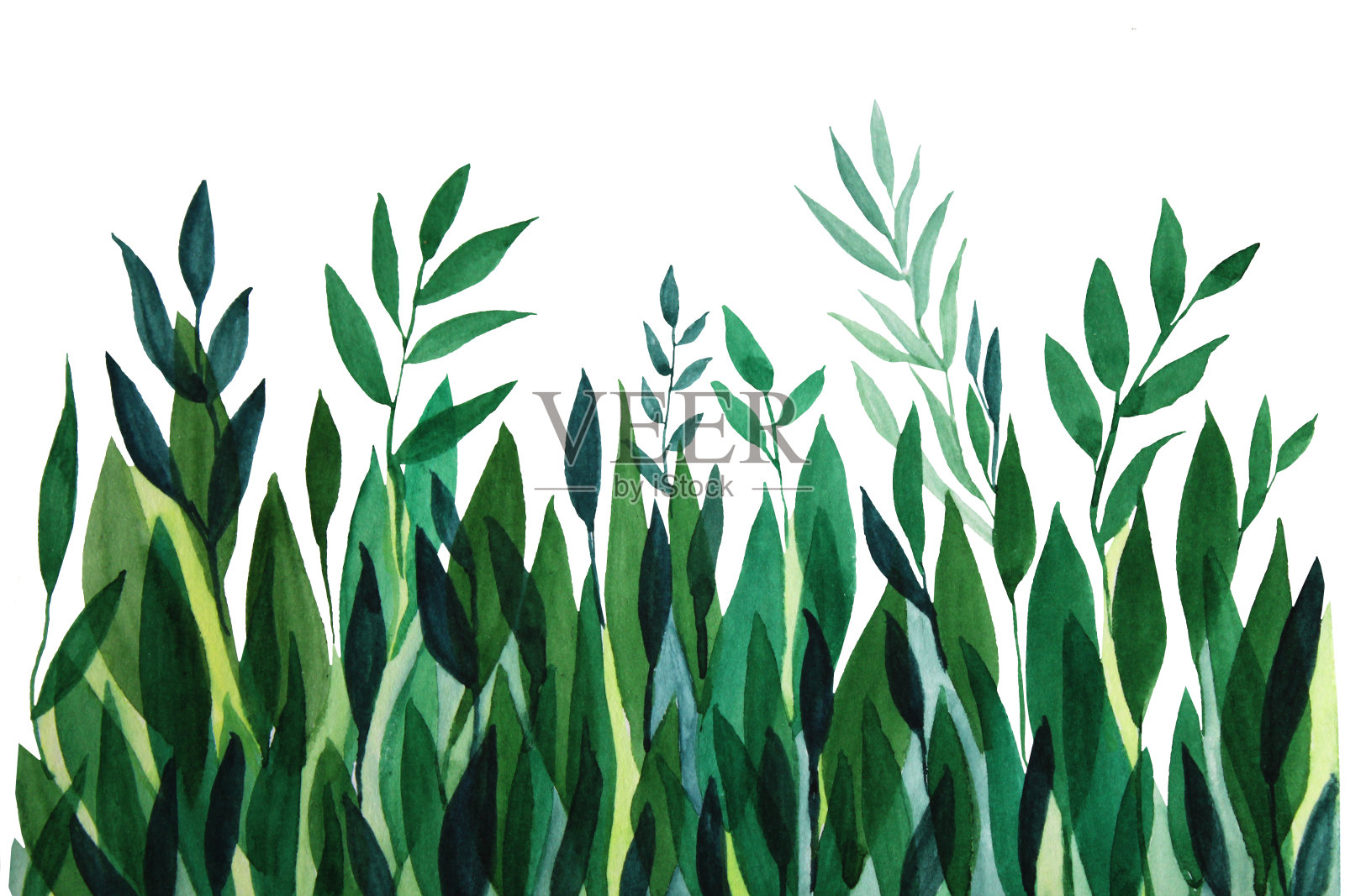 水彩绿草，树枝和树叶手绘创意艺术在白色的背景插画图片素材