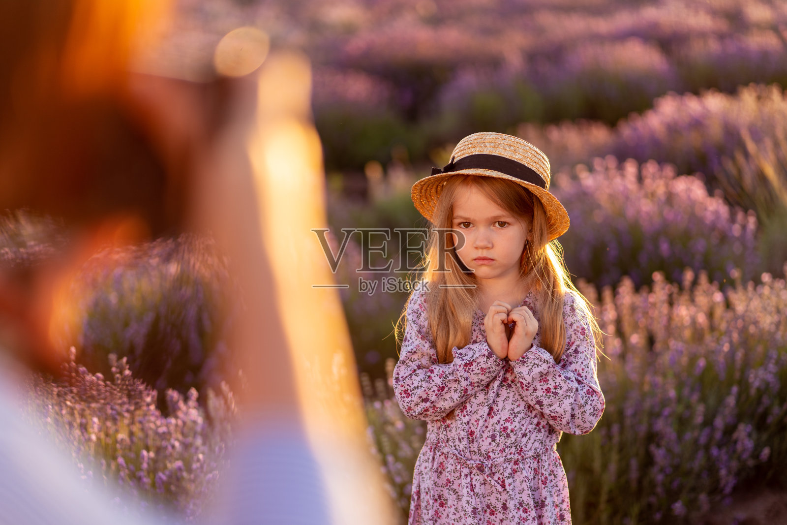 在薰衣草地里拍摄一个小女孩照片摄影图片