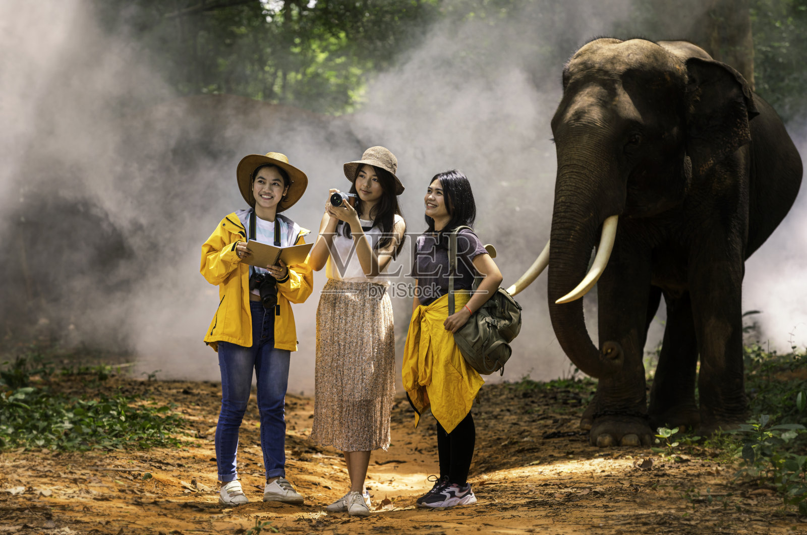 日本游客和泰国导游正在丛林里看大象。迷路的游客在森林里向当地人求助。照片摄影图片