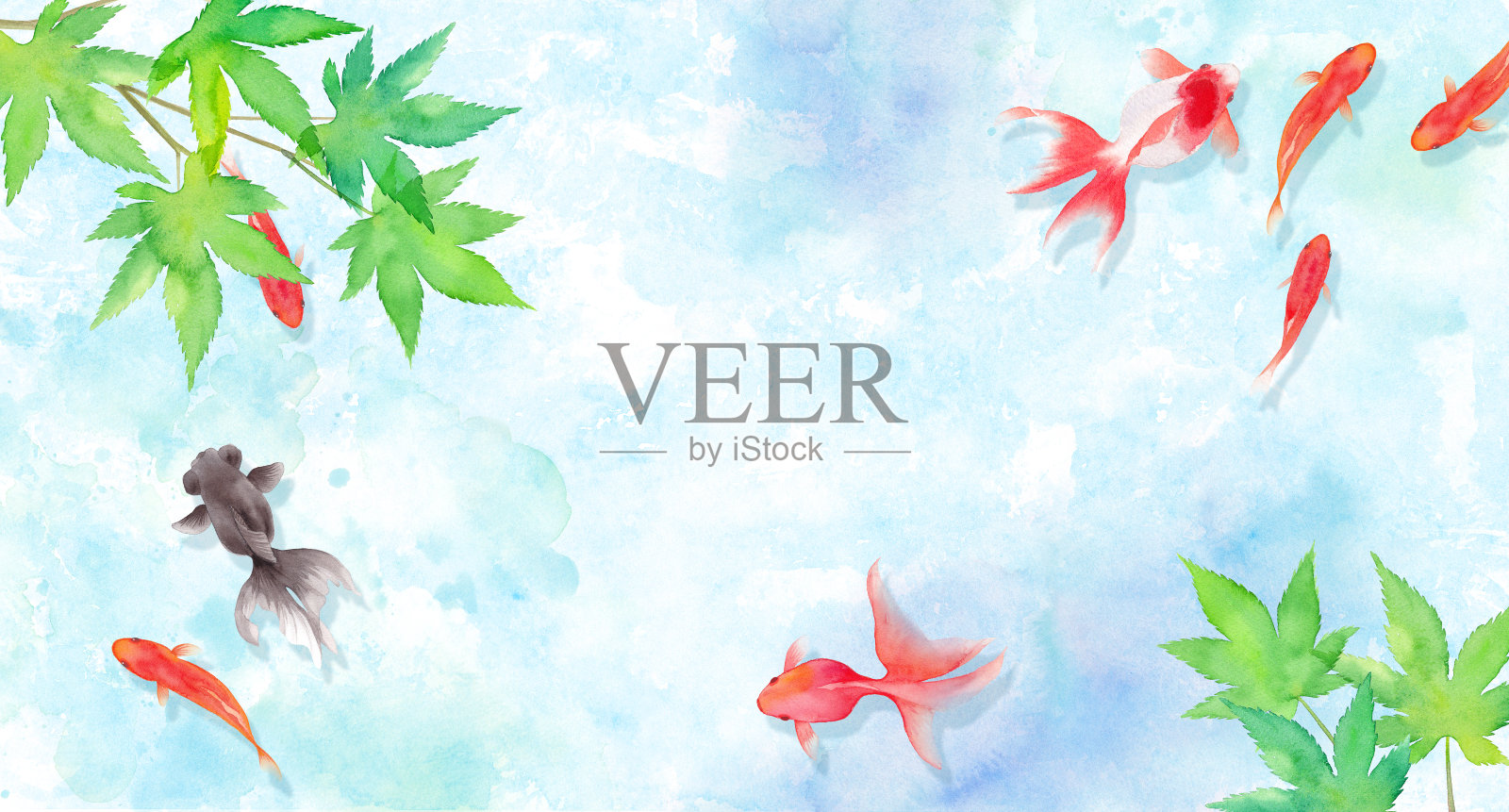 夏季图像背景由优雅的游泳金鱼和新鲜的绿色枫树组成，水彩插图插画图片素材