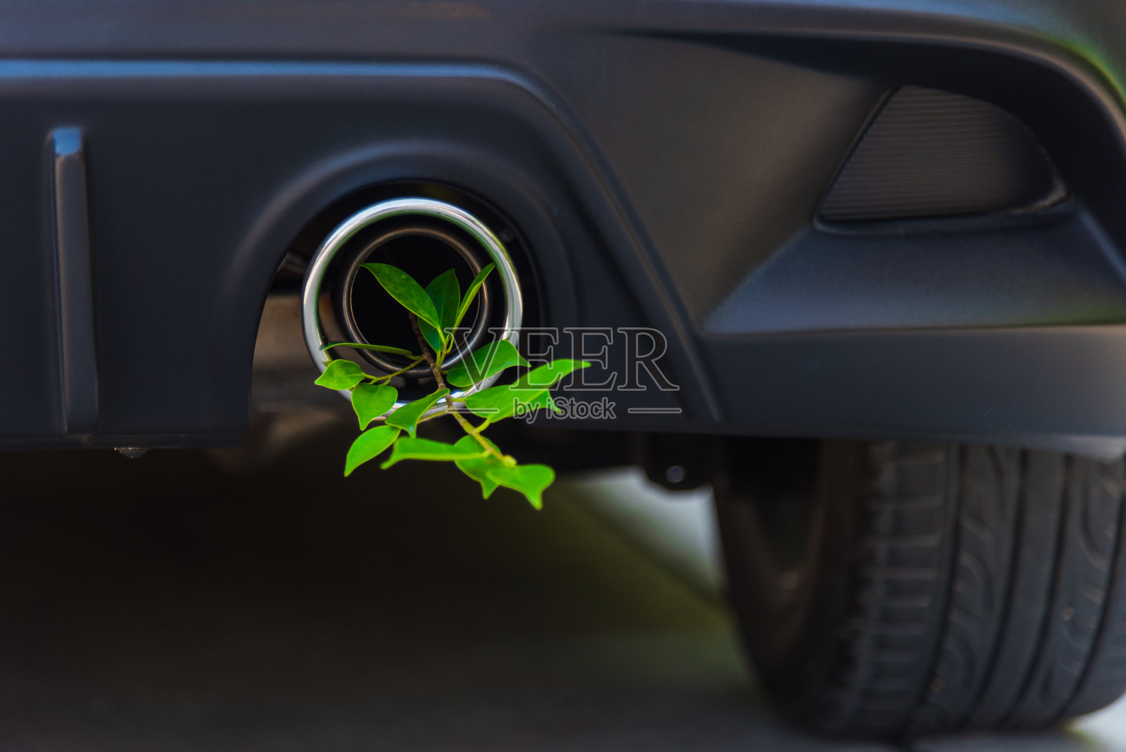 生态电动混合动力汽车环保概念的绿叶在排气消声器燃油效率代替烟雾可以帮助停止二氧化碳照片摄影图片