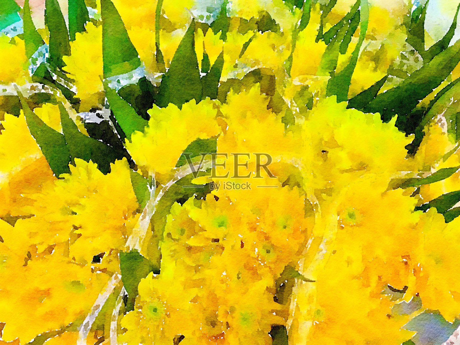 水彩的黄色花背景照片摄影图片
