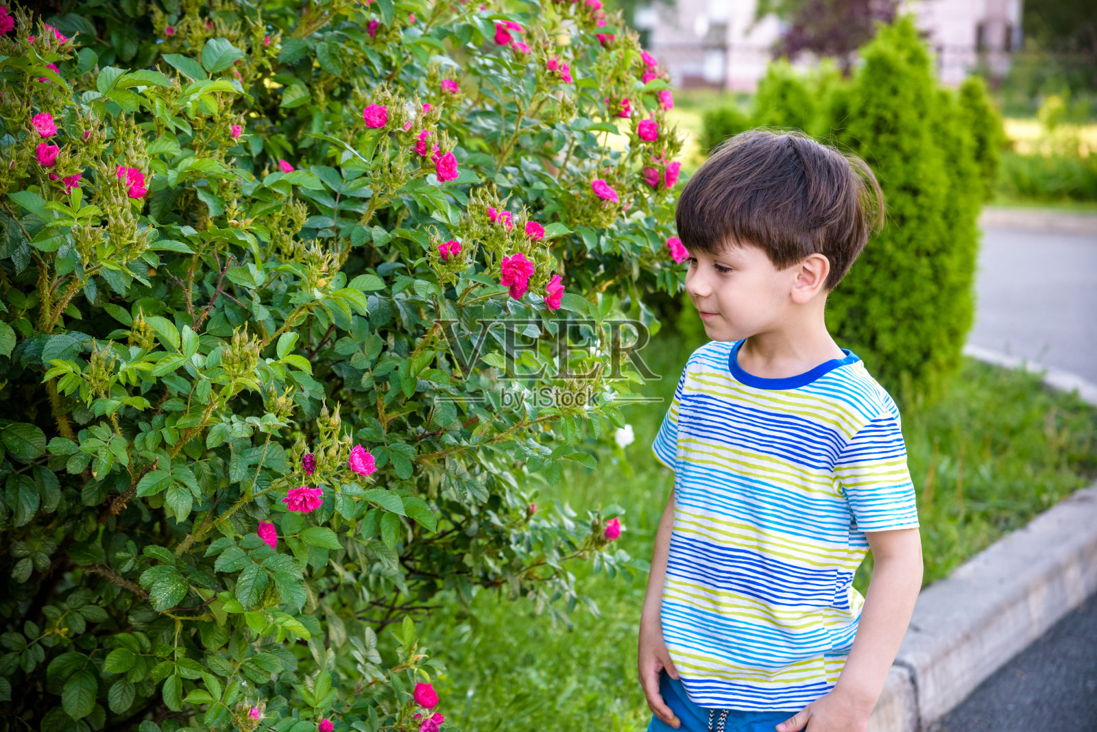 小男孩对在户外玩耍盛开的鲜花过敏。医疗保健的概念照片摄影图片