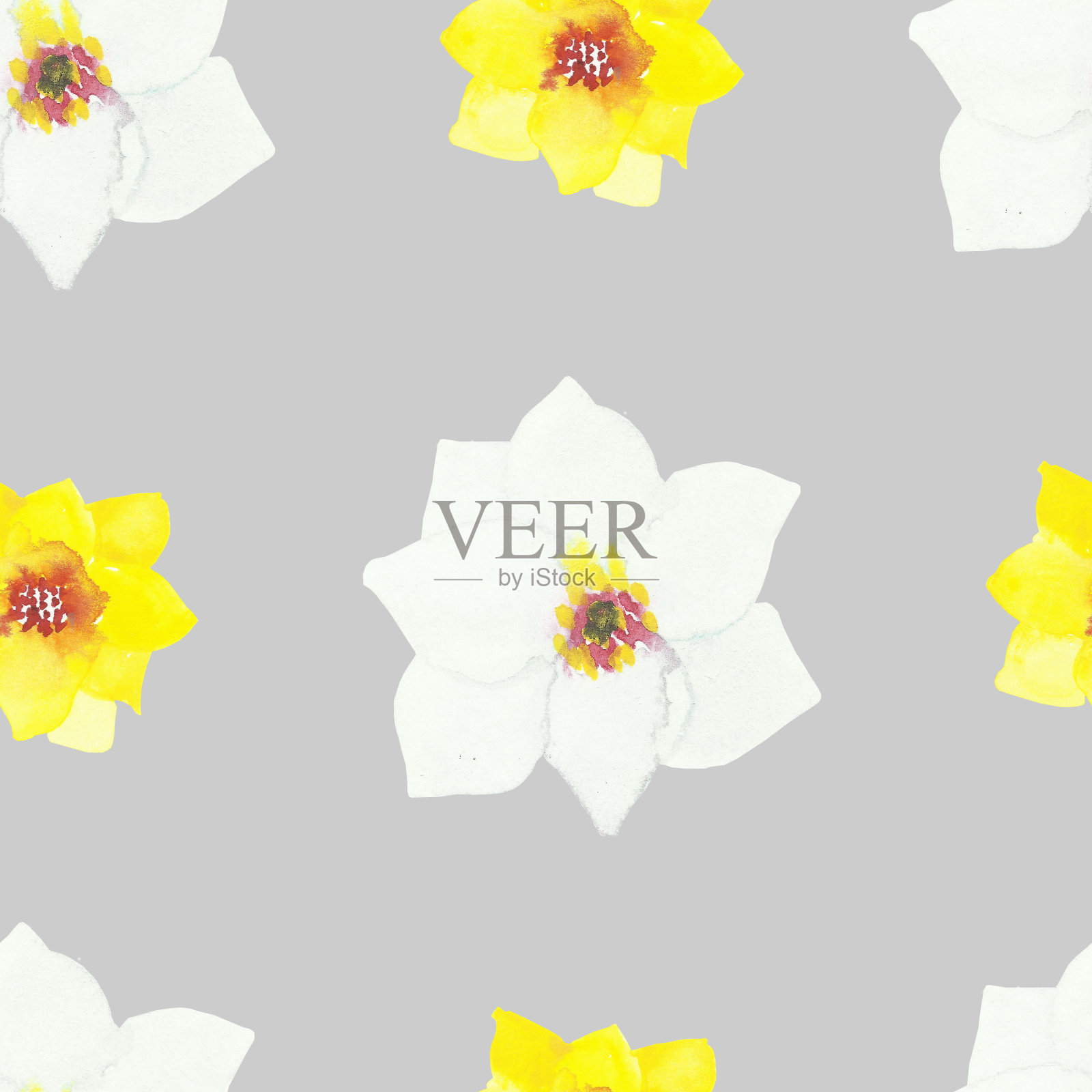 水彩手绘自然花卉无缝图案，以黄白相间的花朵水仙孤立在浅紫色的背景上，以新潮的印花为设计元素插画图片素材