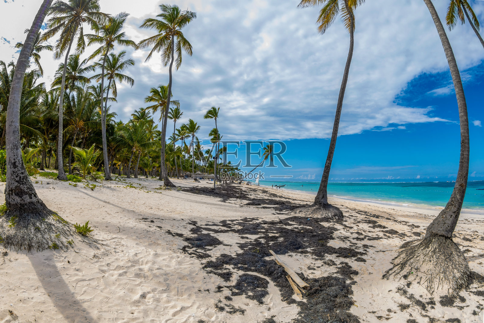 多米尼加共和国蓬塔卡纳美丽的野生沙滩照片摄影图片