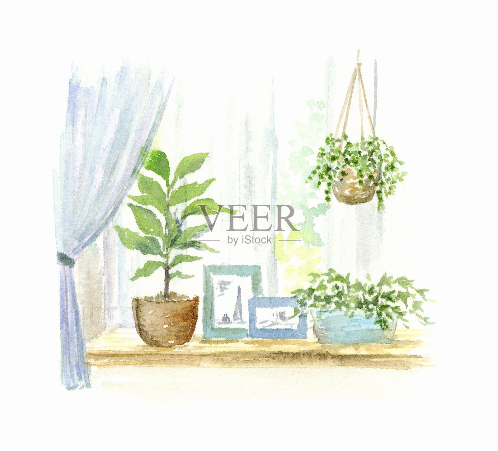 室内植物的水彩插图。插画图片素材
