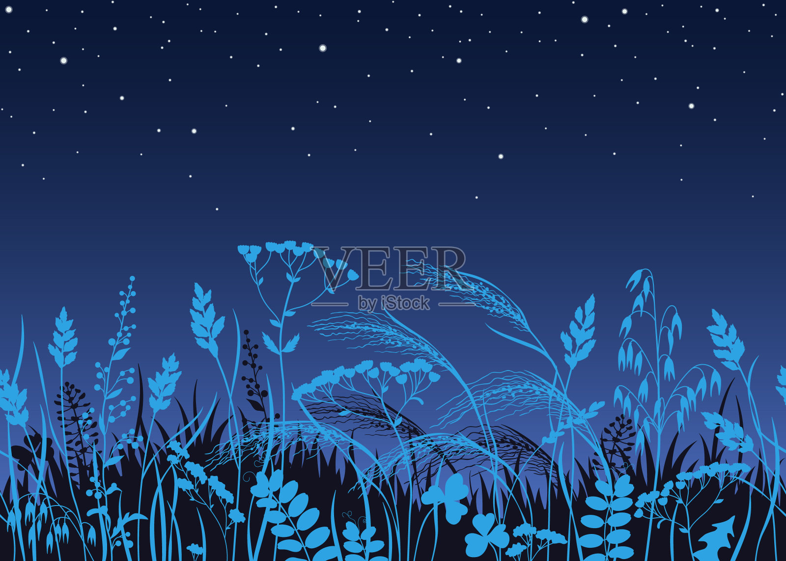 无缝边界与野生植物在月光下插画图片素材