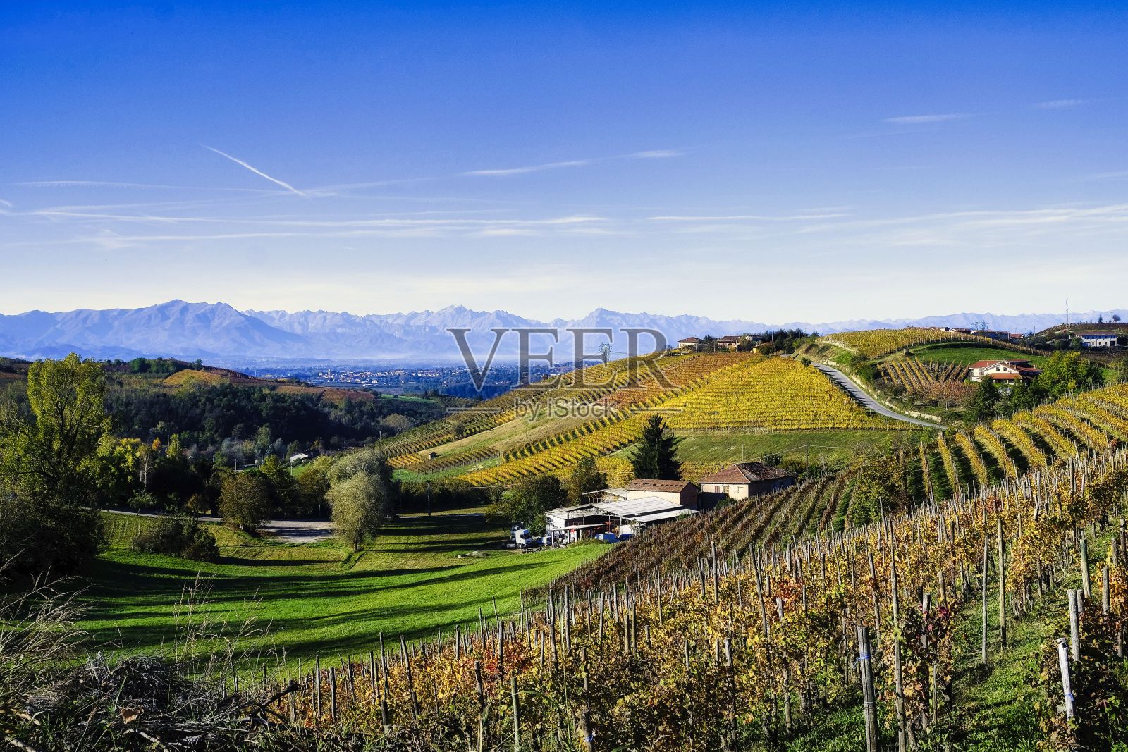 阿尔巴附近Piedmontese Langhe的葡萄园景观照片摄影图片