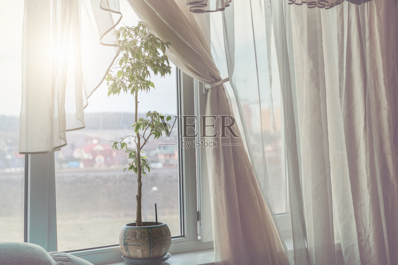 柔软的圆边丝质窗帘挂在窗户上，窗台上有盆栽植物照片摄影图片