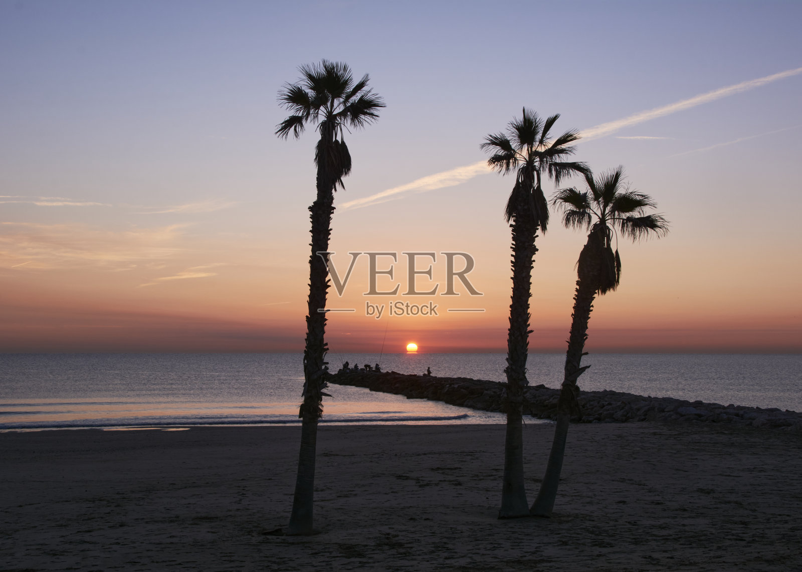 日出时海滩上的棕榈树照片摄影图片