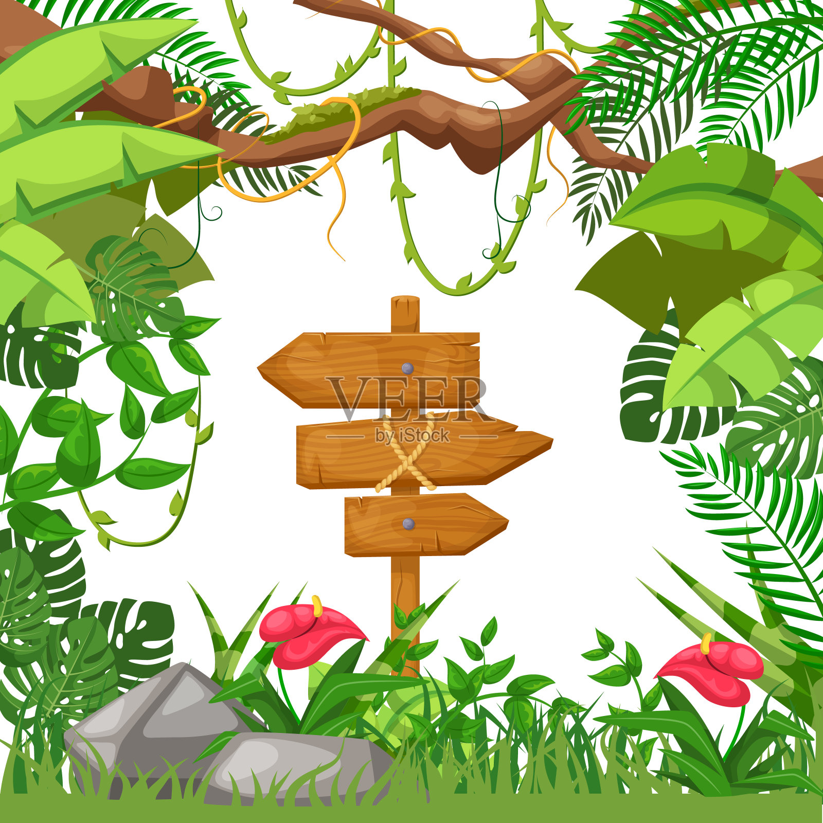 热带夏季背景与丛林植物载体插画图片素材