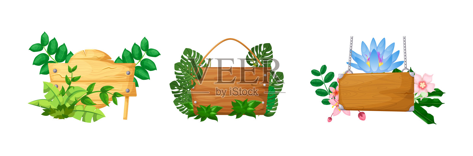 藤本植物的枝条框架和热带雨林的叶花插画图片素材